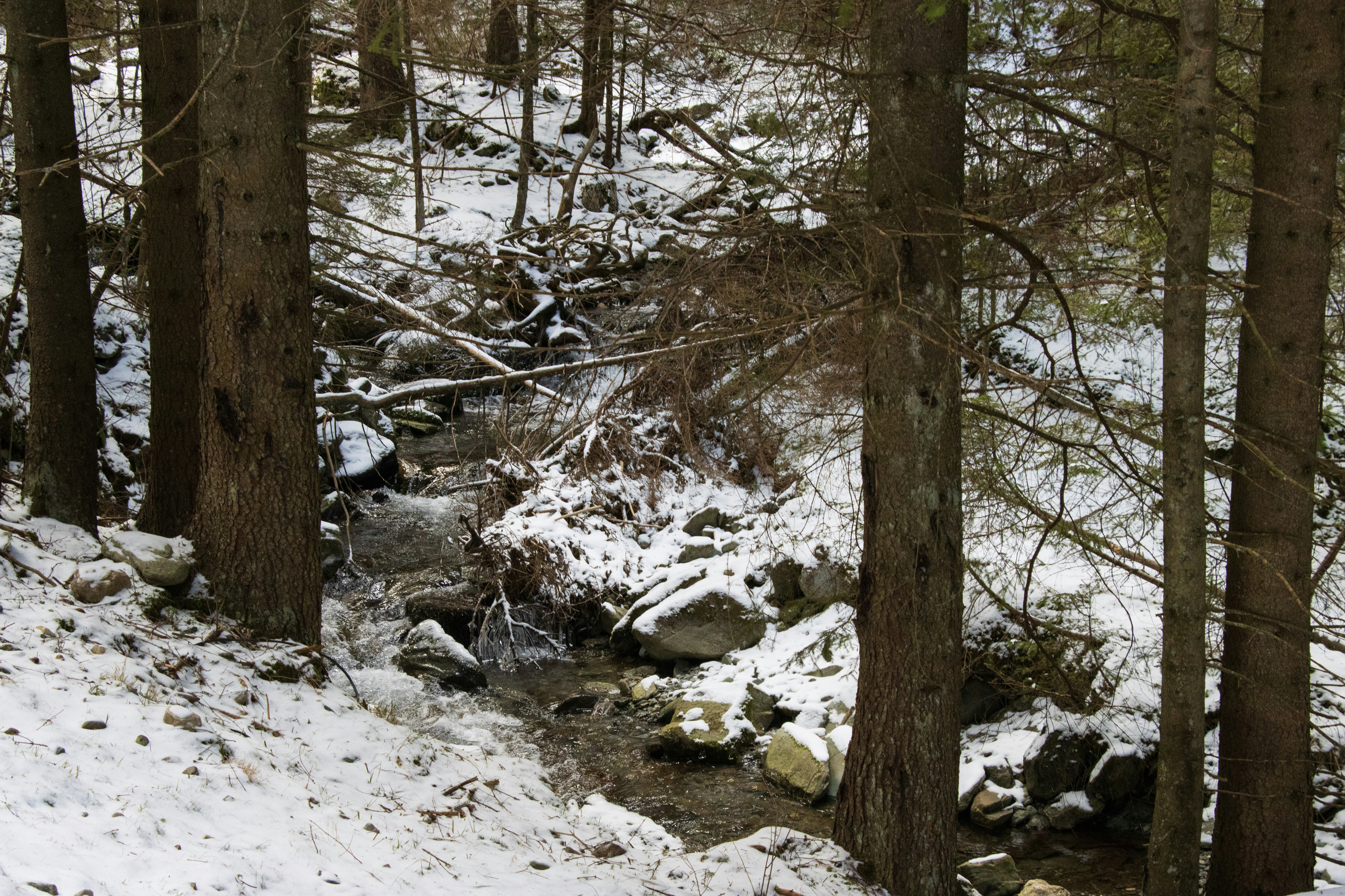 Photo by mechaowlstudios