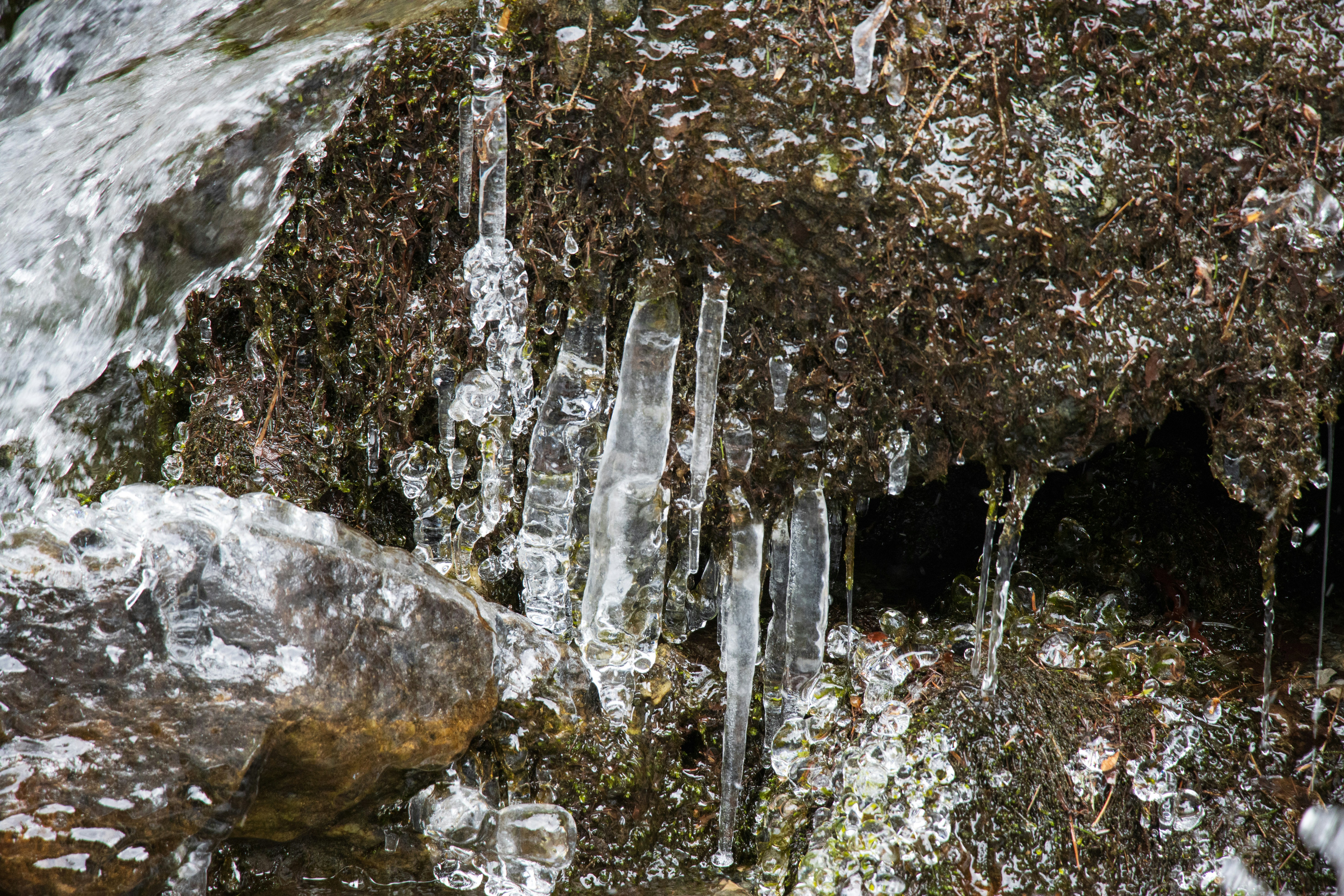 Photo by mechaowlstudios