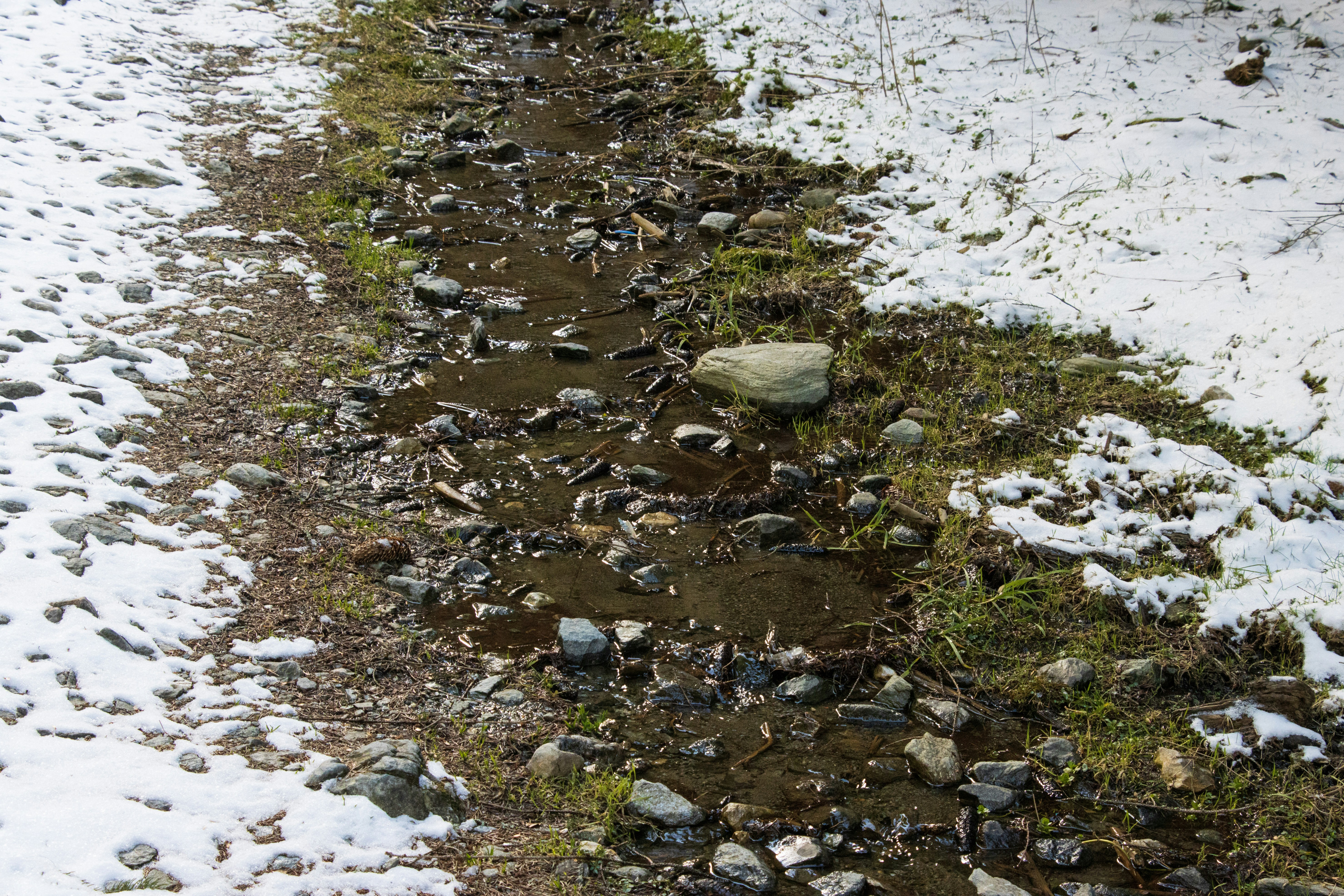 岩や草が生い茂る雪道
