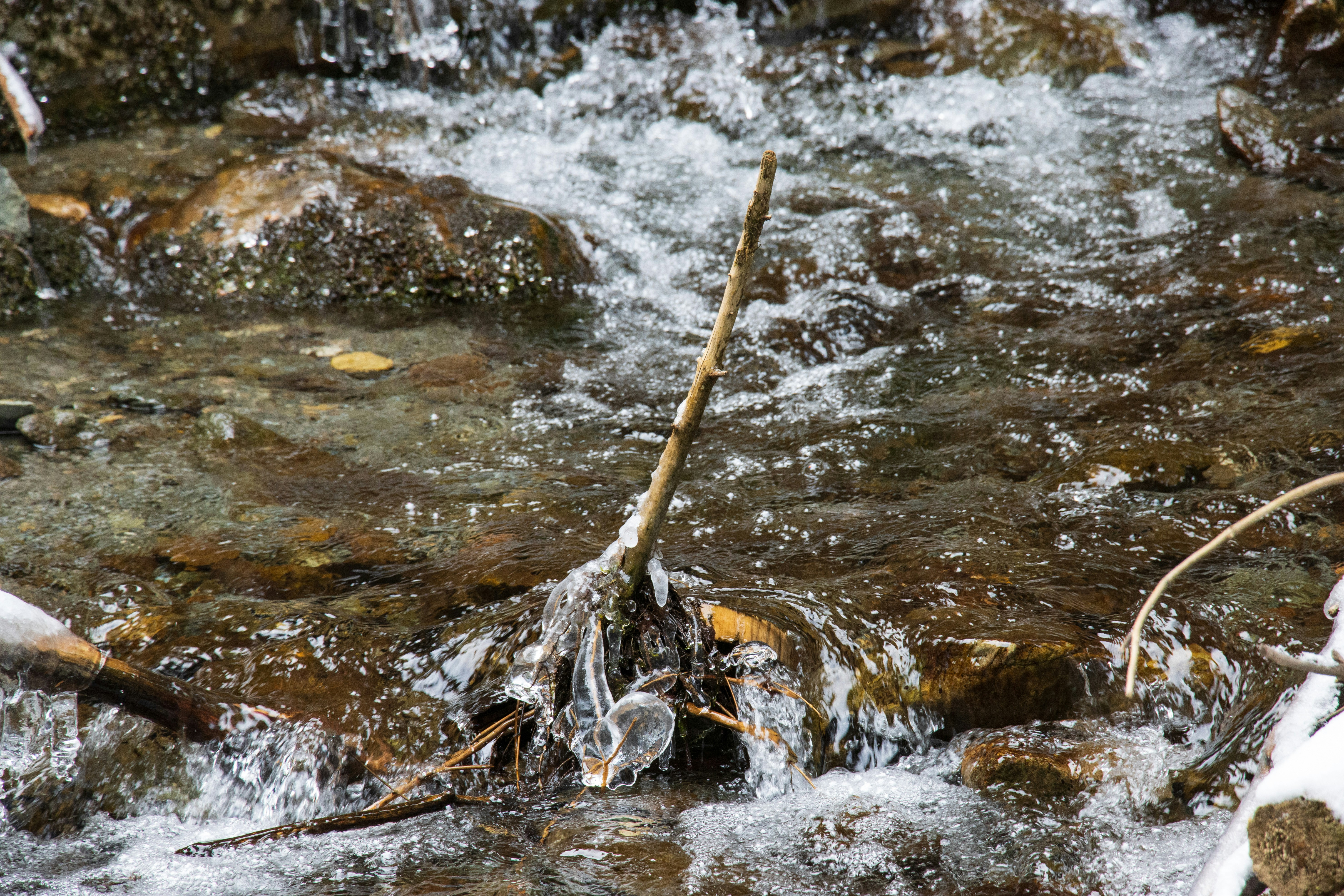 Photo by mechaowlstudios