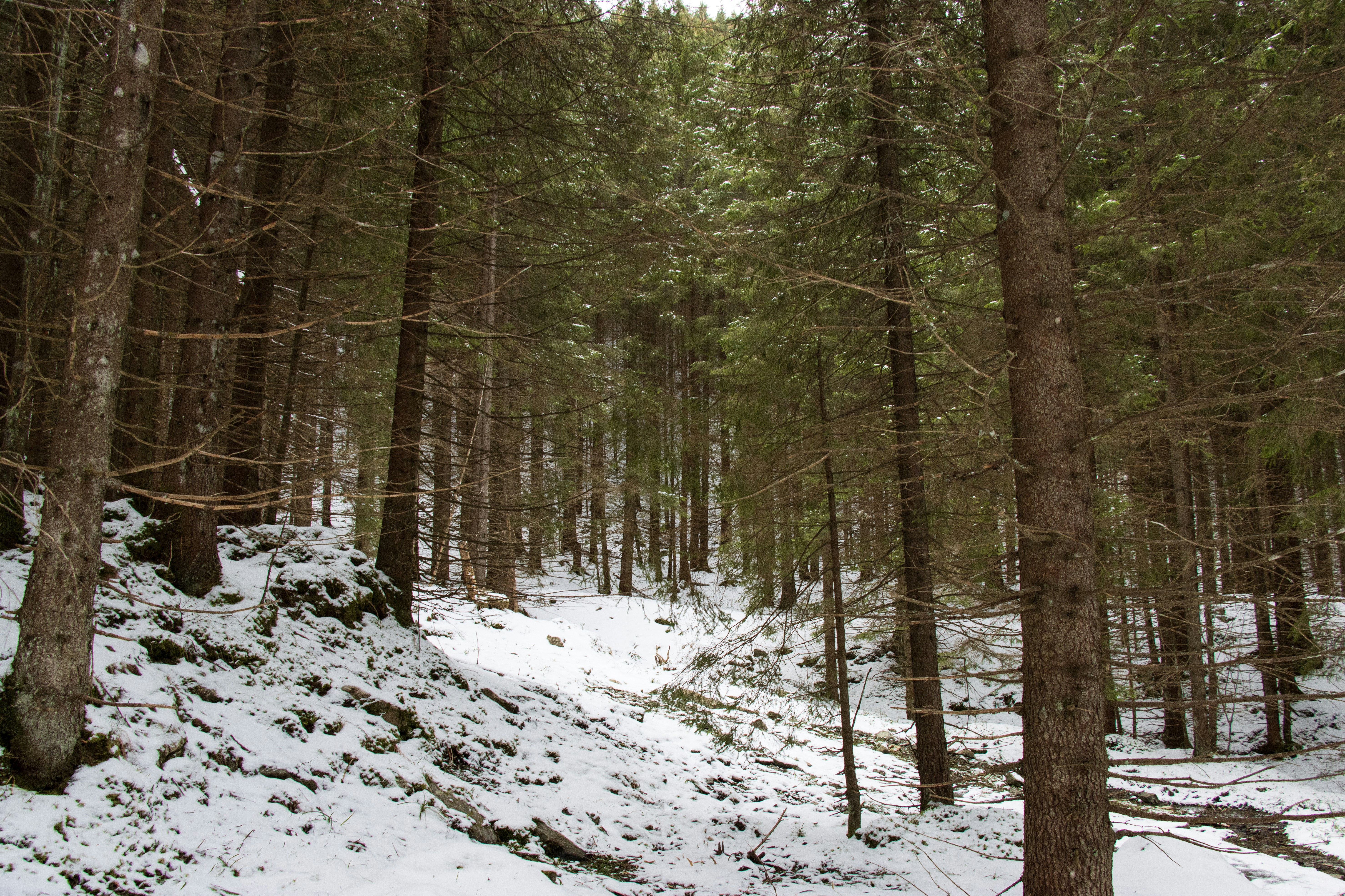 Photo by mechaowlstudios