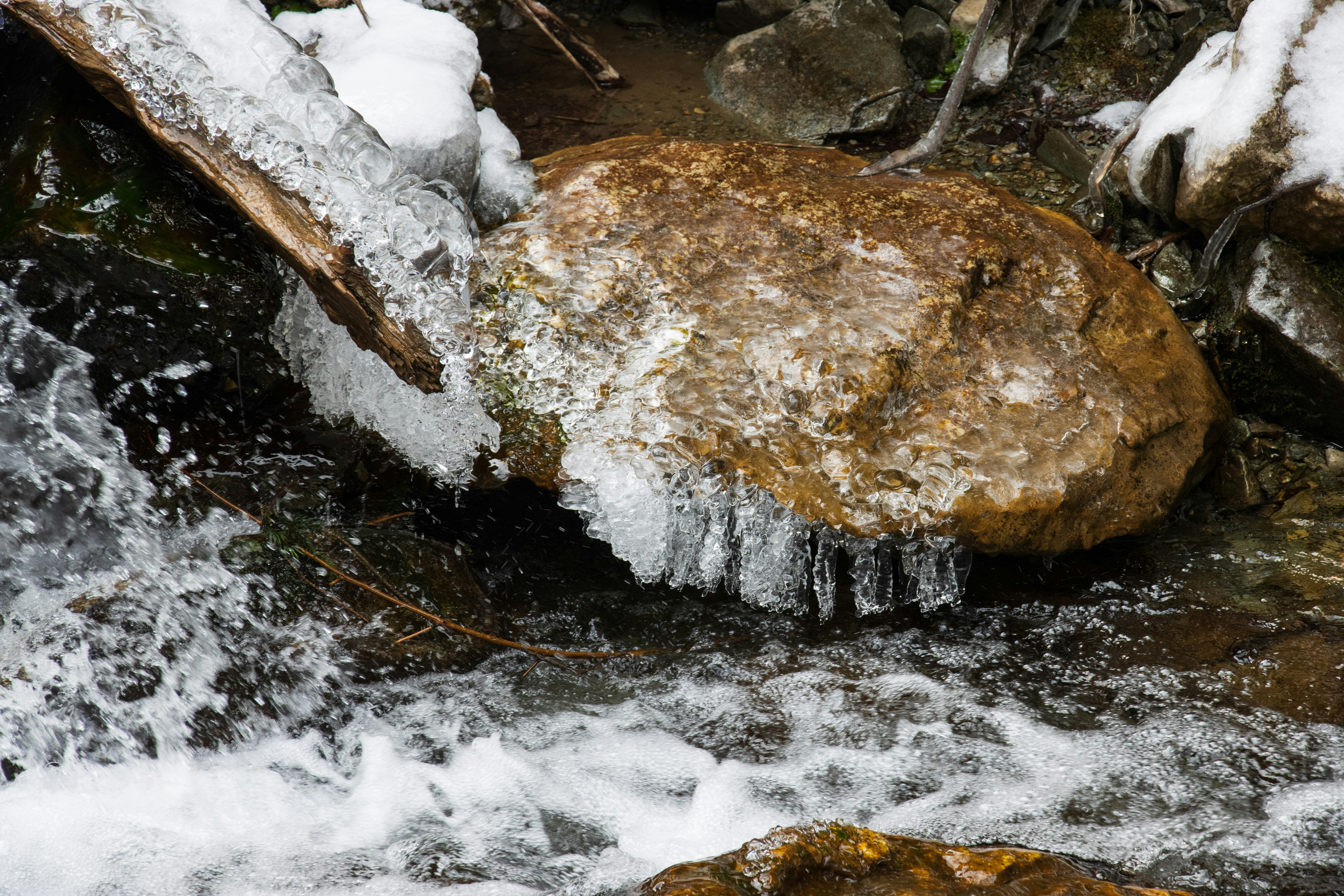 Photo by mechaowlstudios