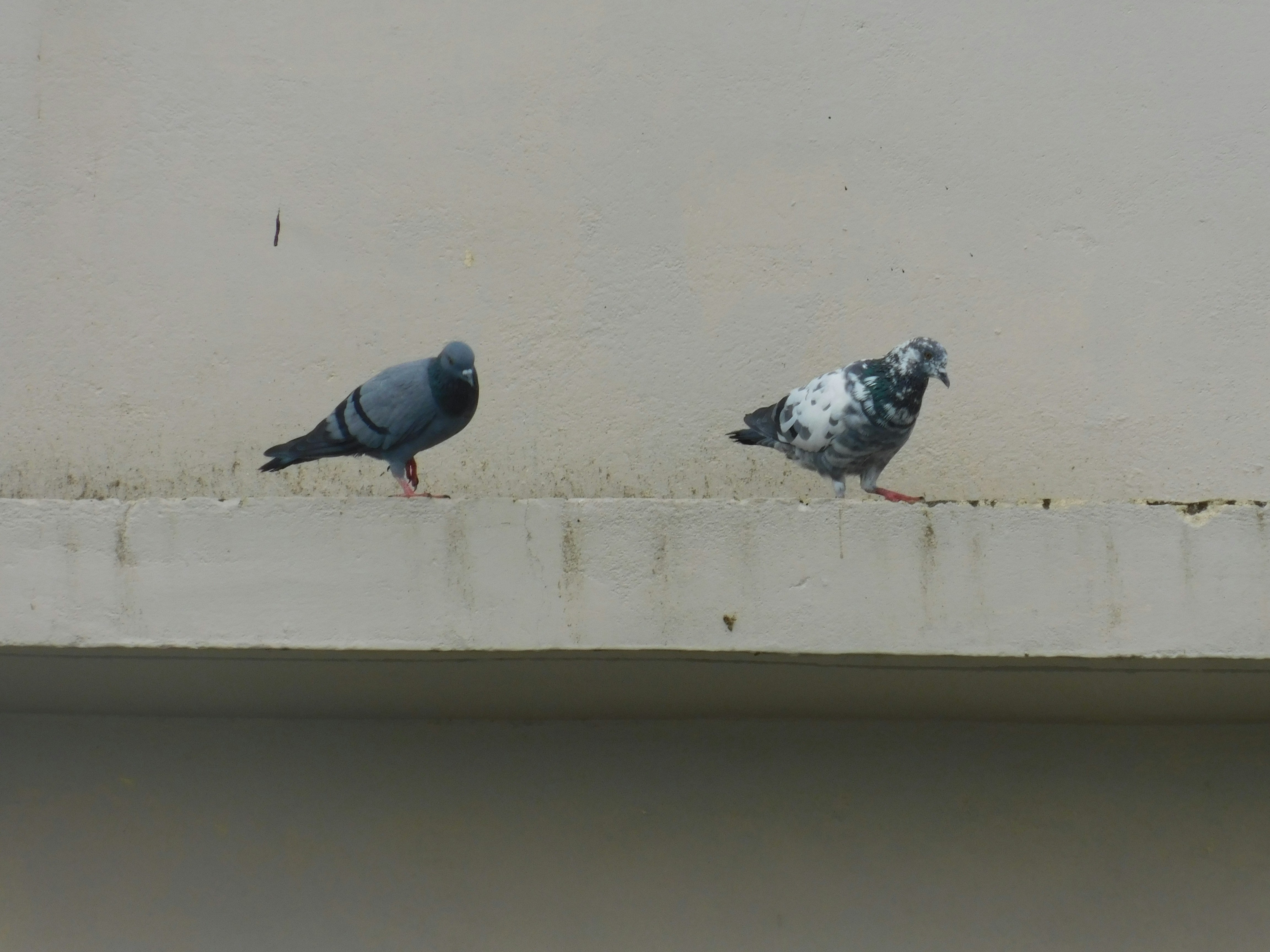 Photo by innocent_killer