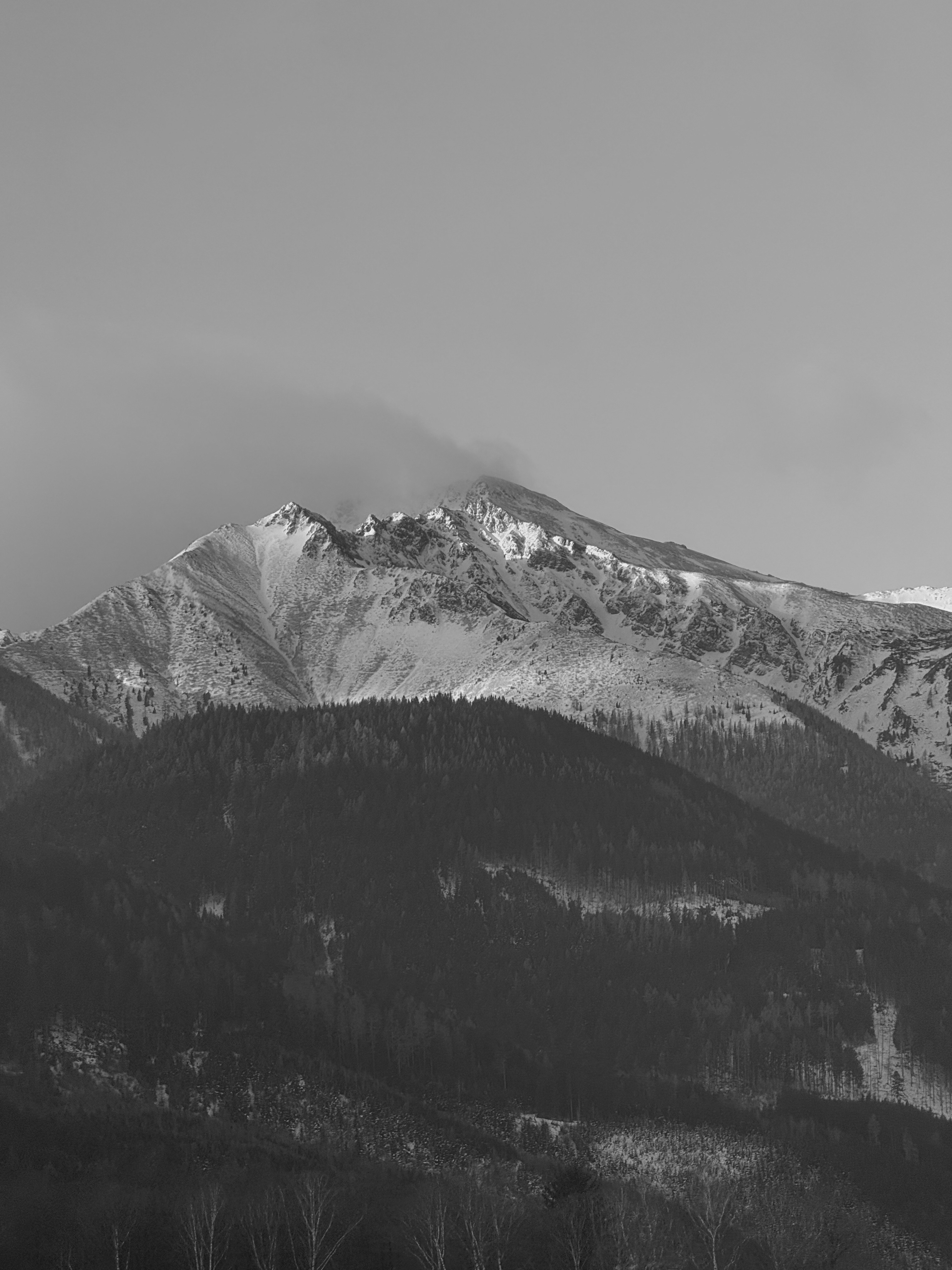 Photo by rebornagency