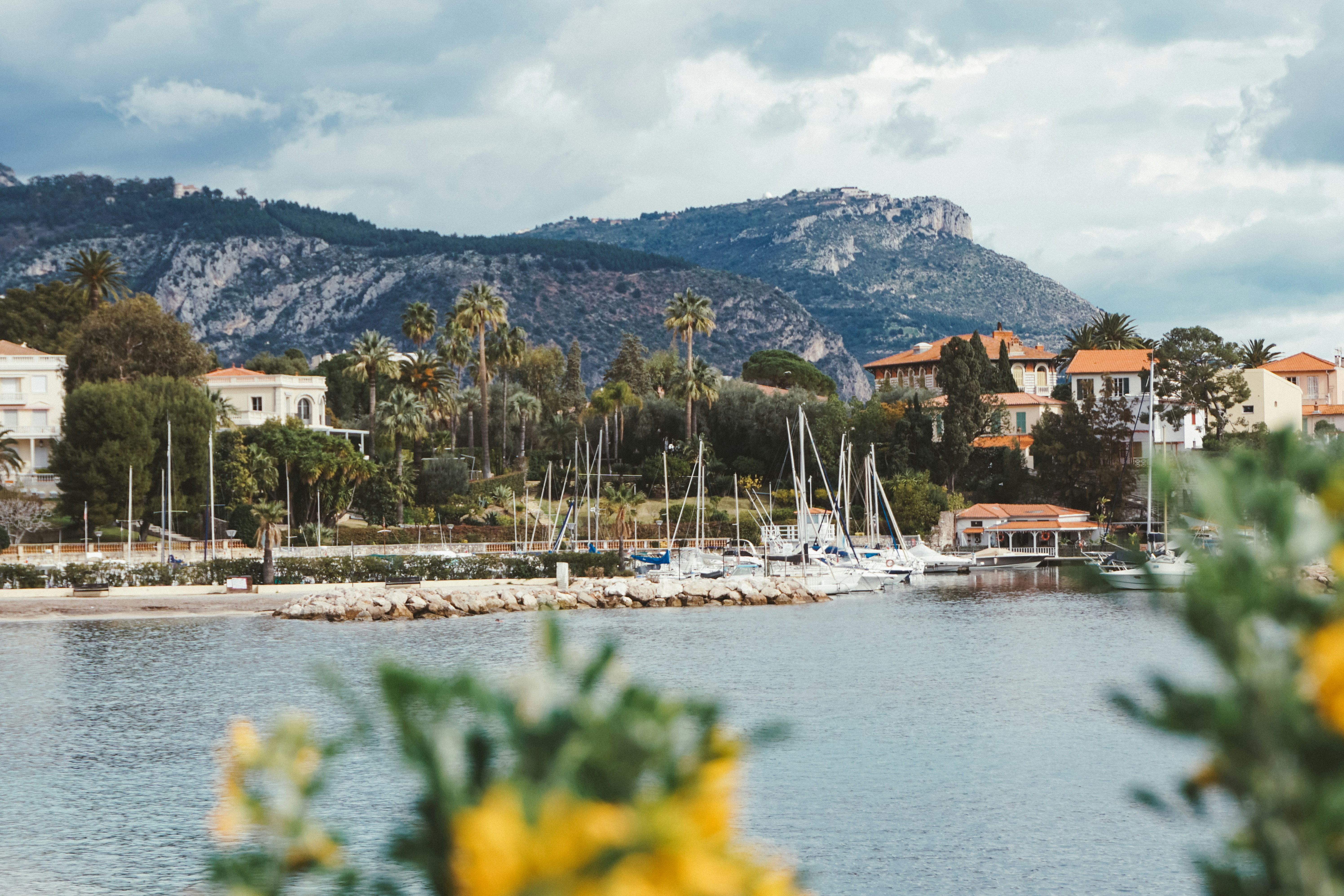 A body of water with a bunch of boats in it