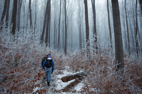 A man walking through a forest covered in snow