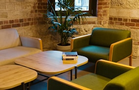 A living room filled with furniture and a potted plant