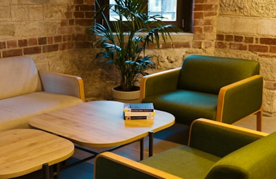 A living room filled with furniture and a potted plant
