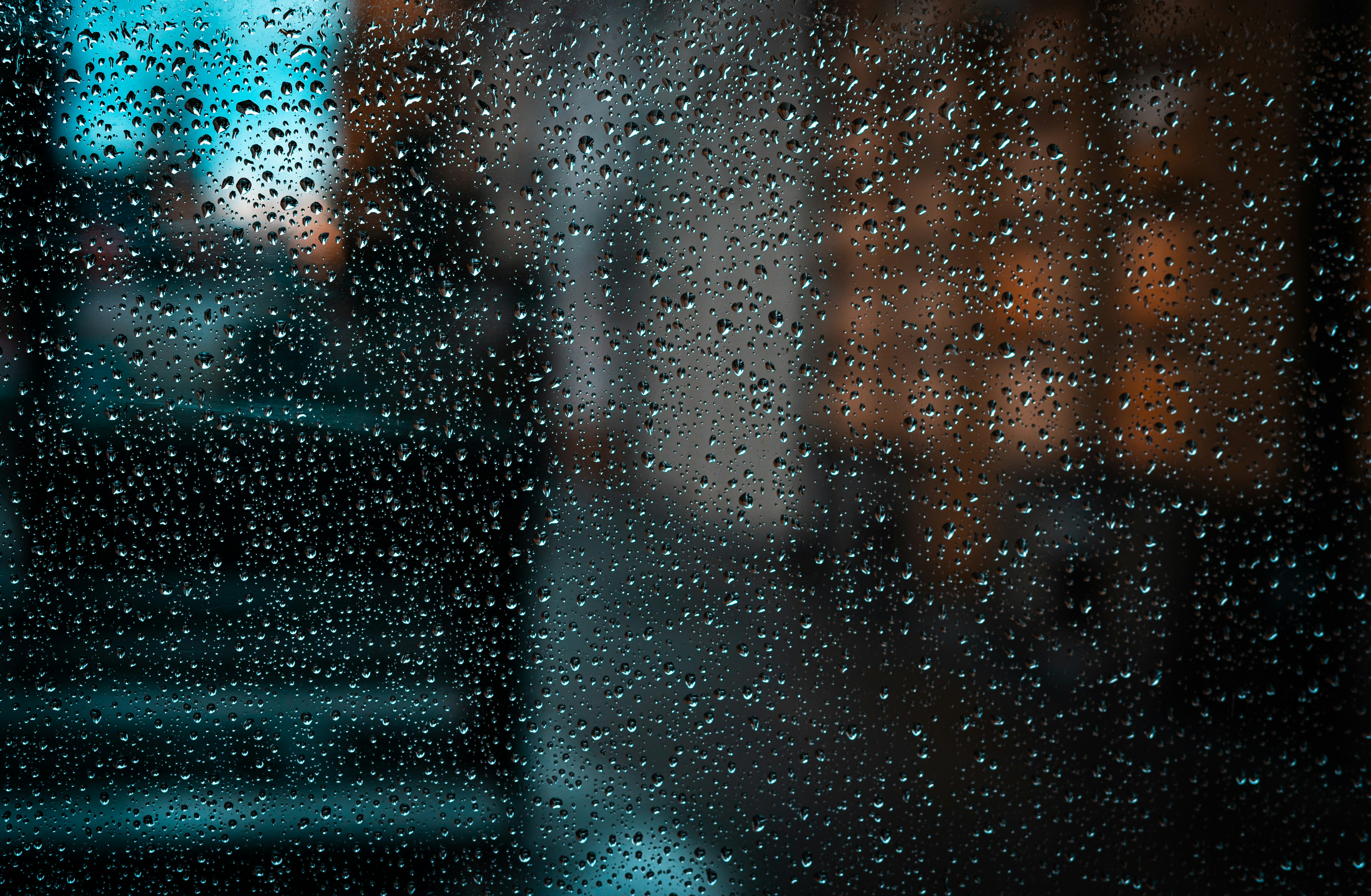 X-ray showing titanium bone screws