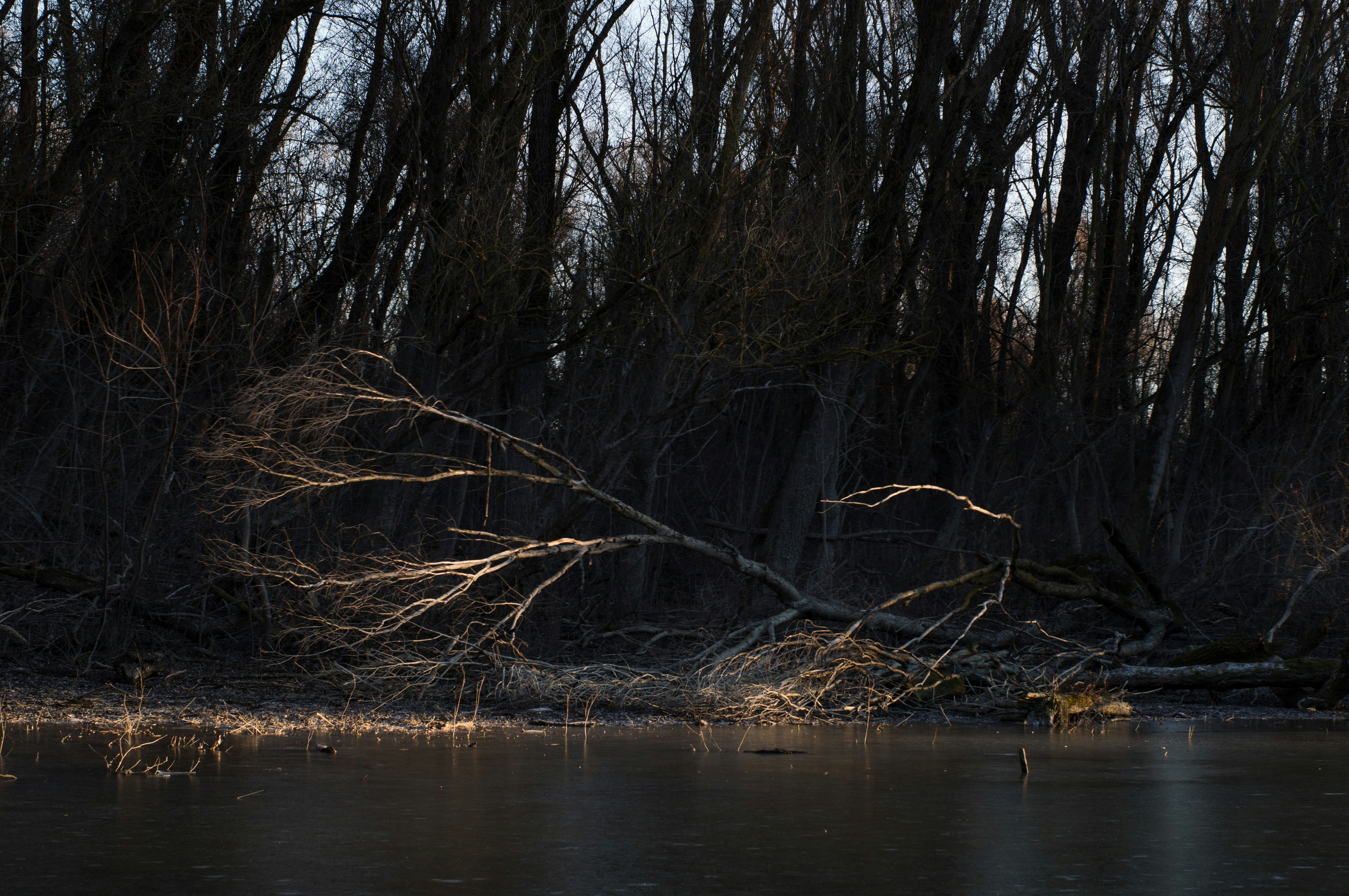 Photo by buduczki