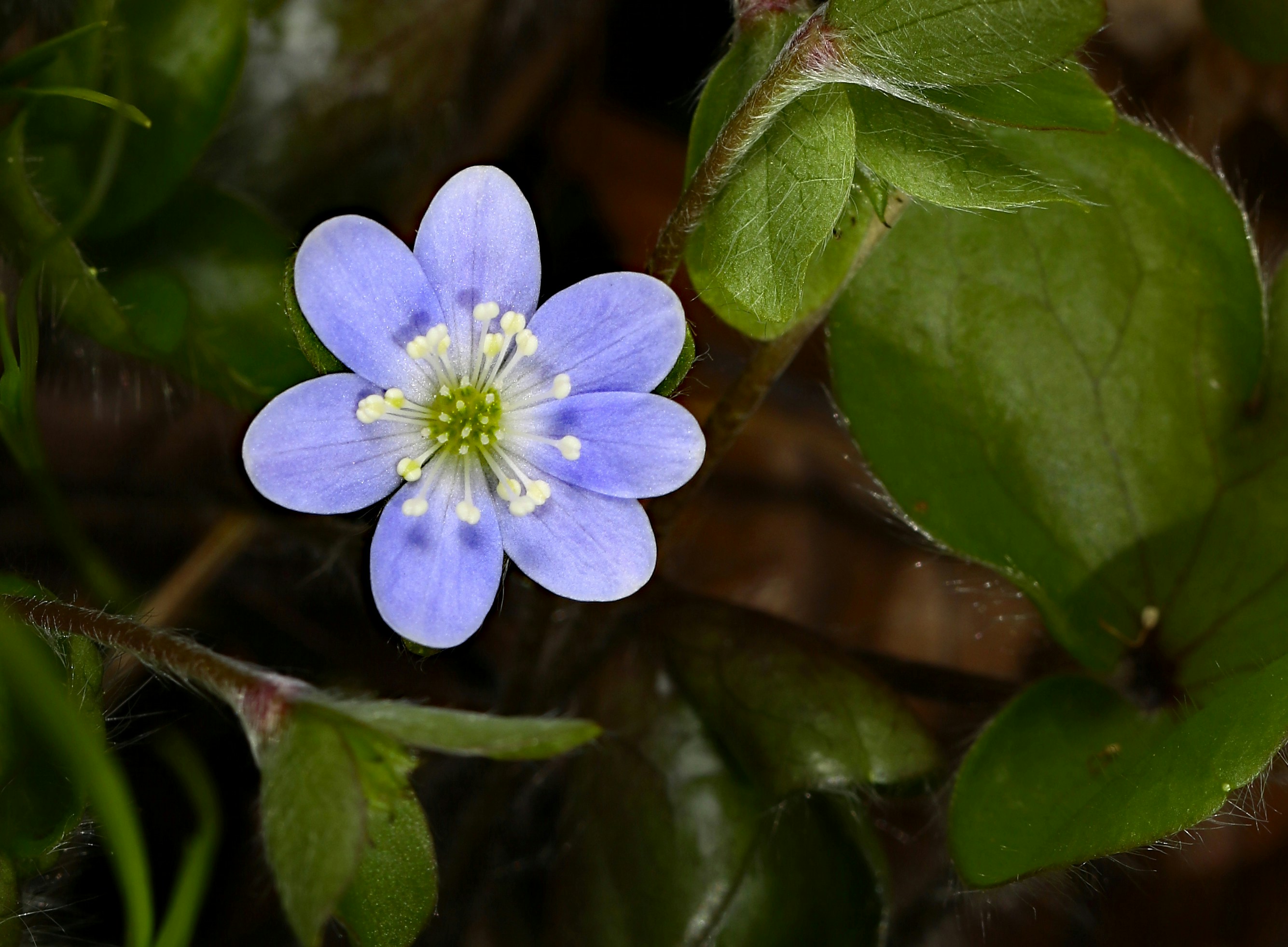 Photo by telliottmbamsc