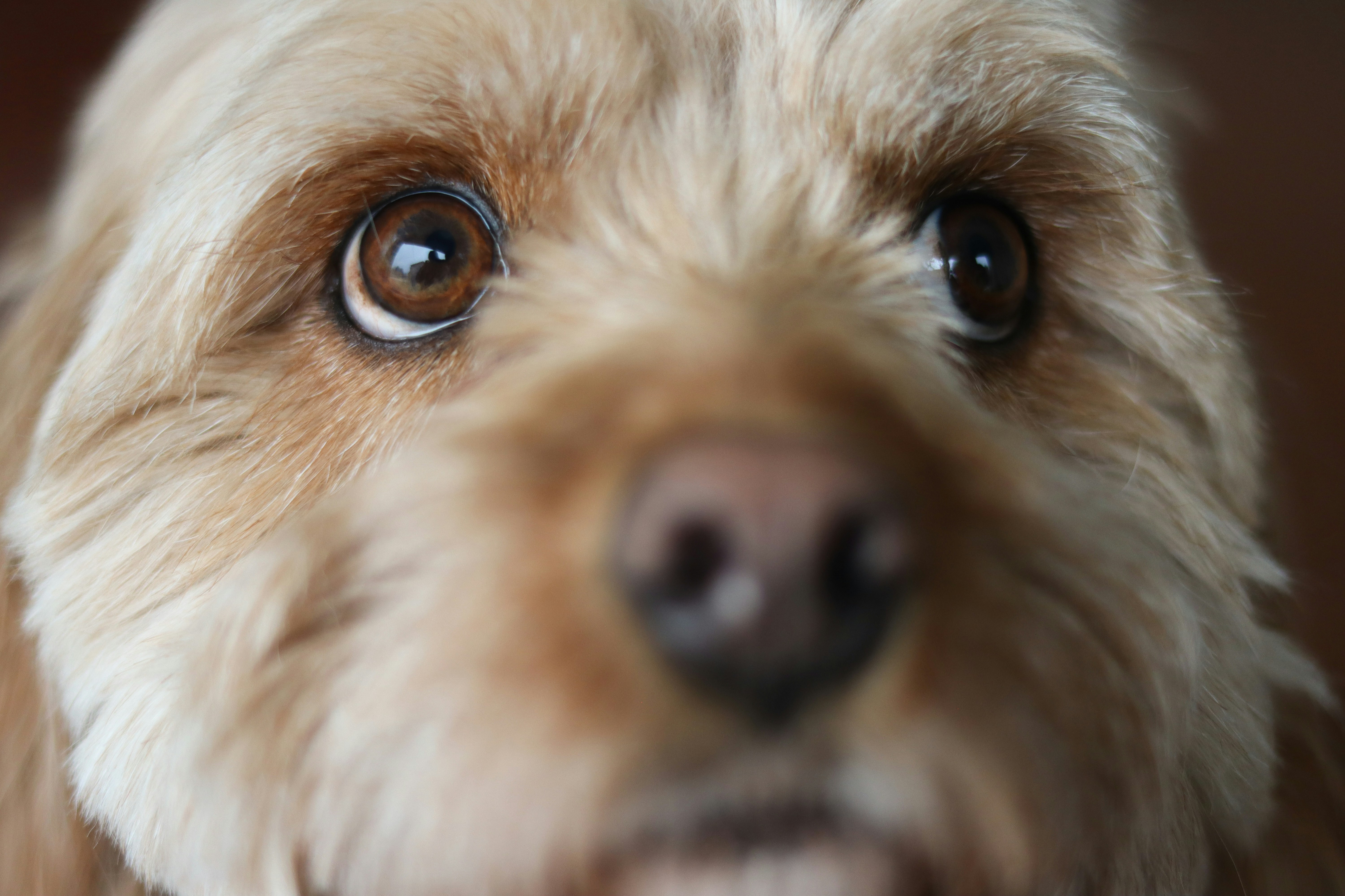 Photo by miaandersonphotography