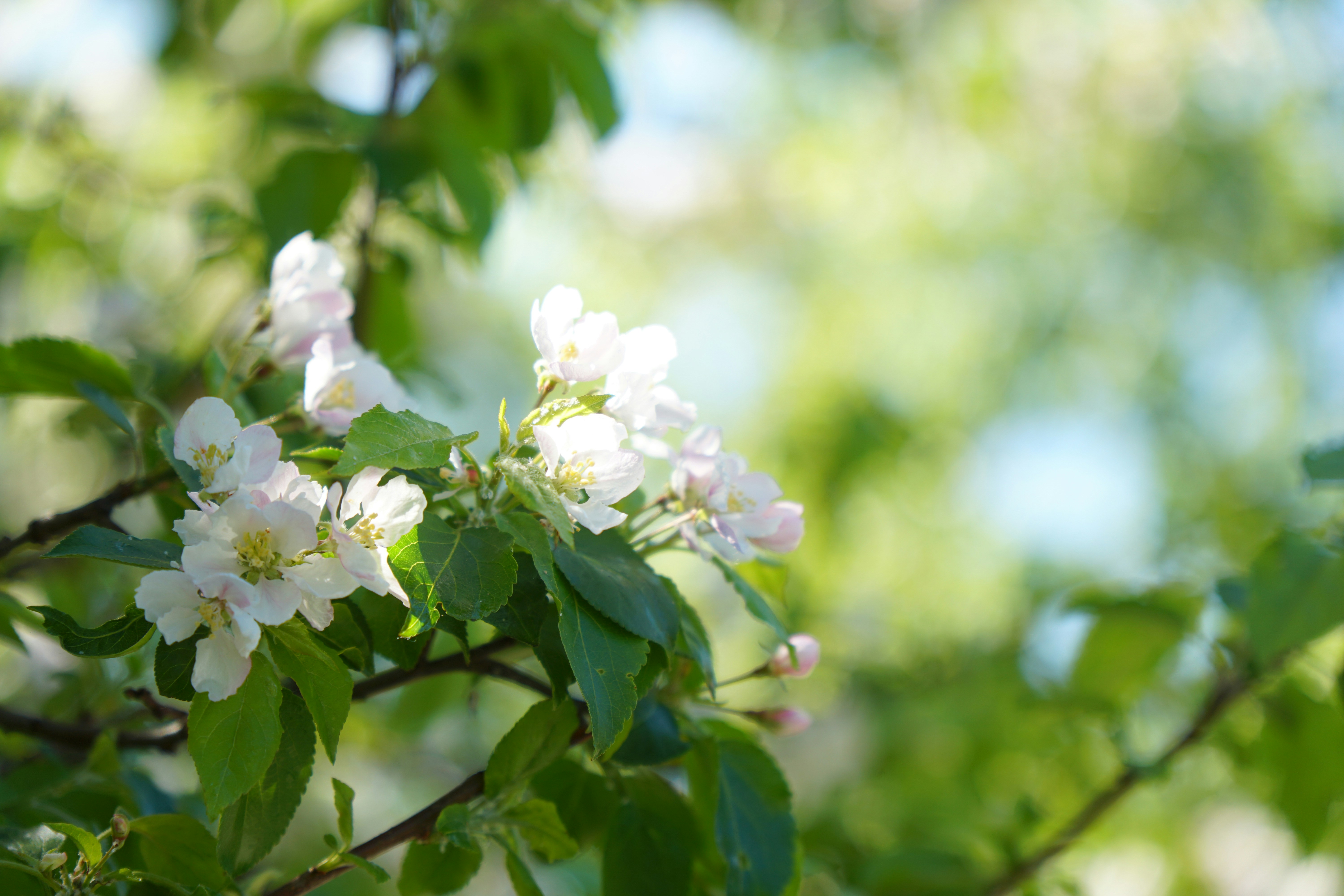 Photo by natasha_7gr