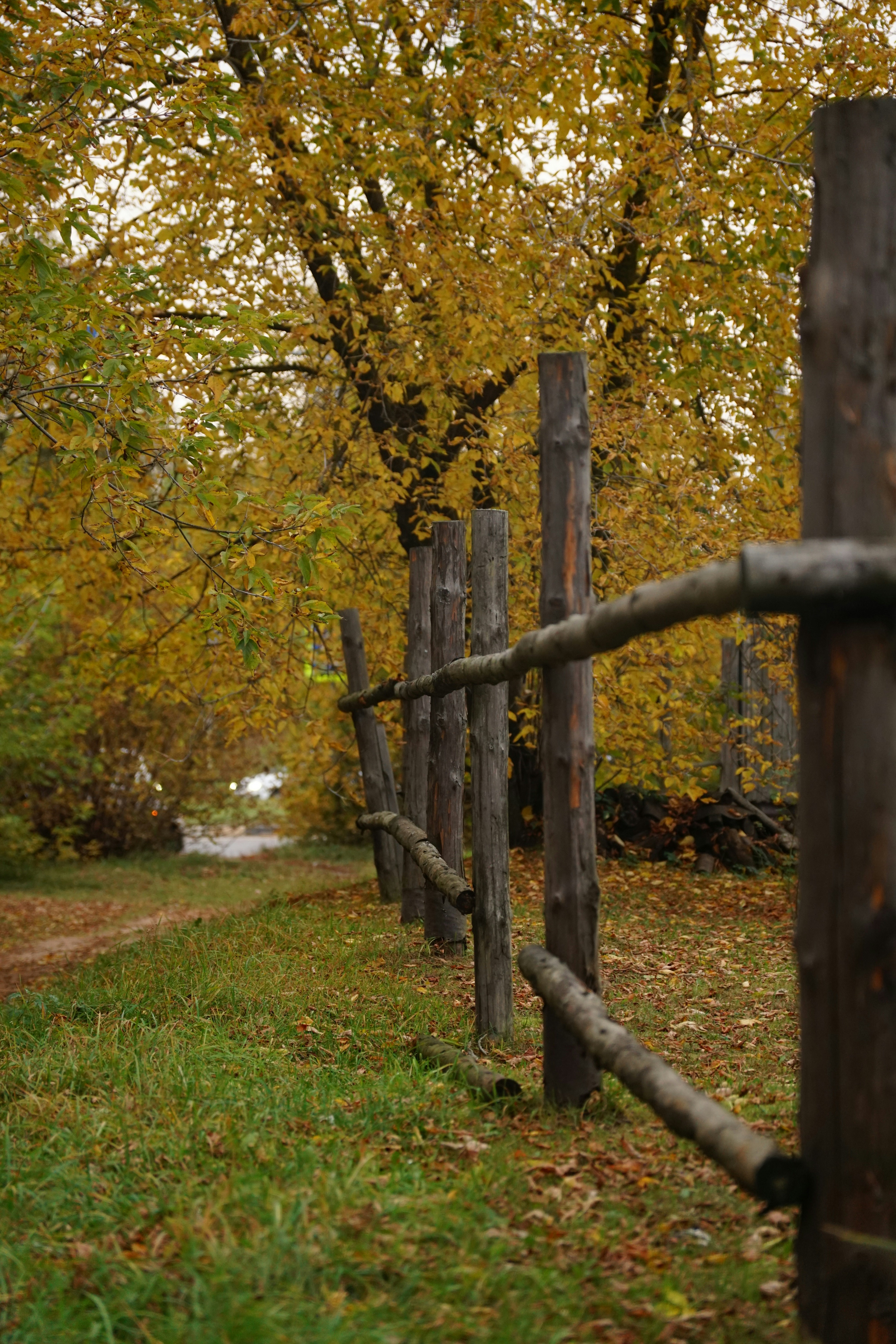 Photo by natasha_7gr