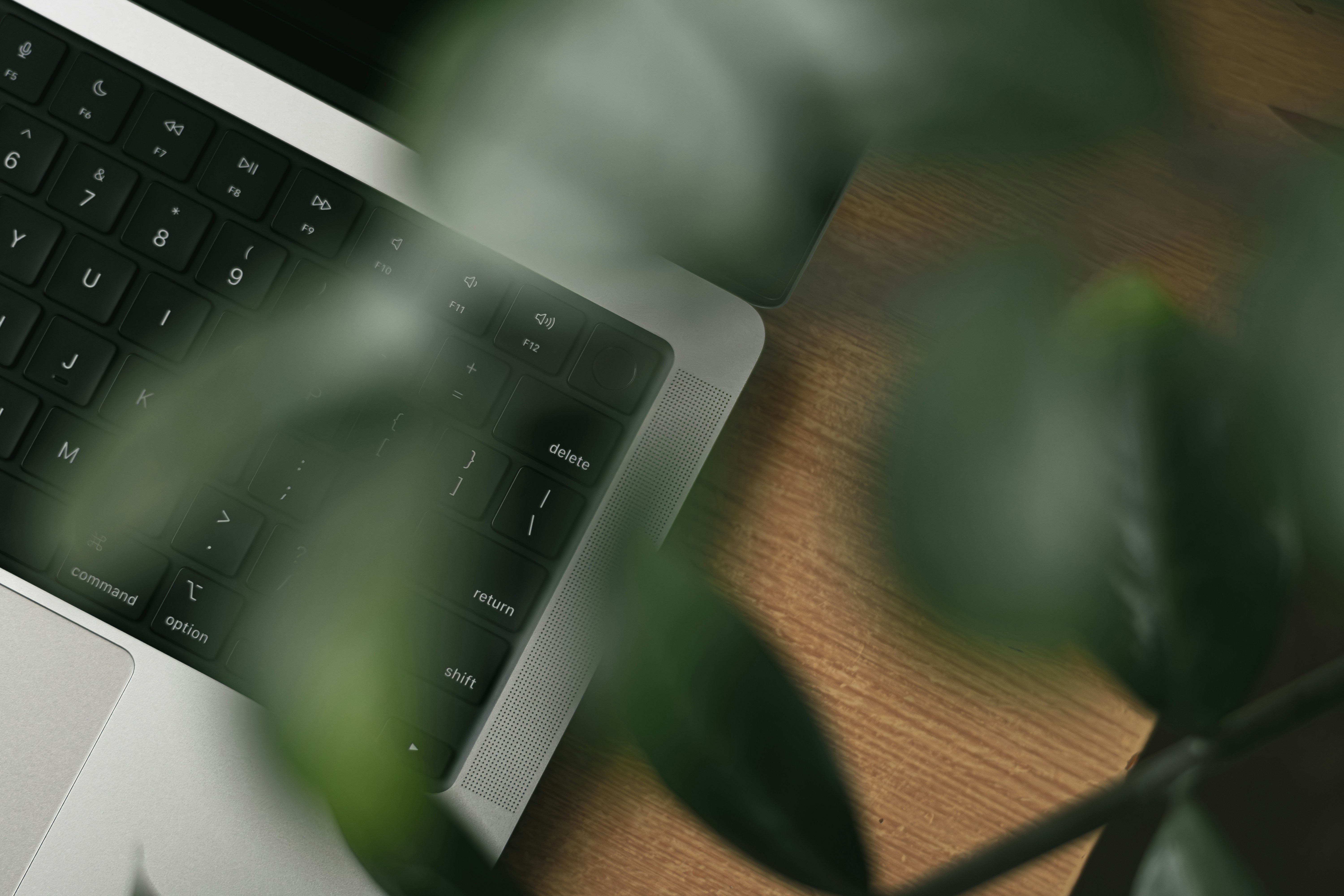 Photo by therealslkhv