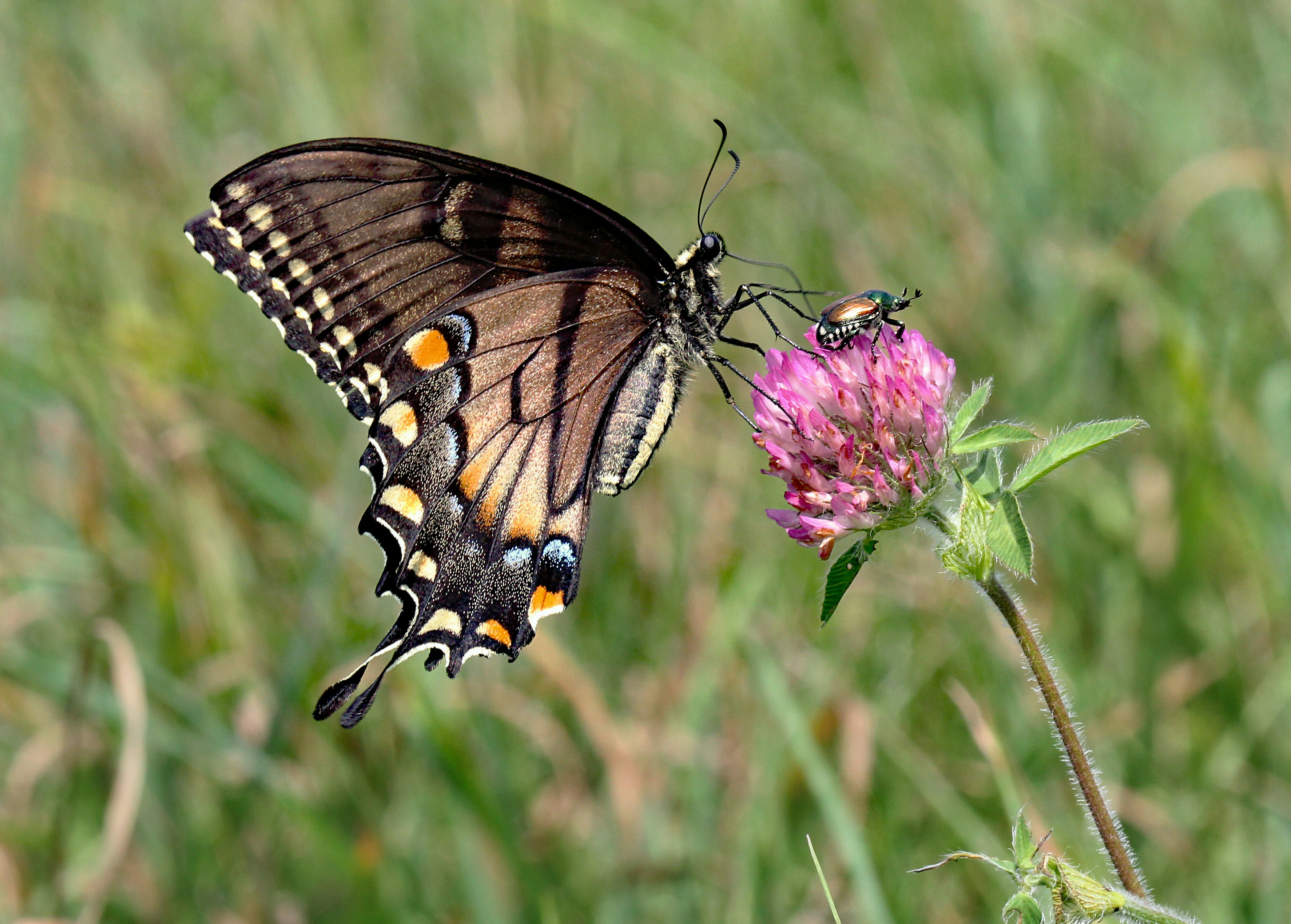 Photo by telliottmbamsc