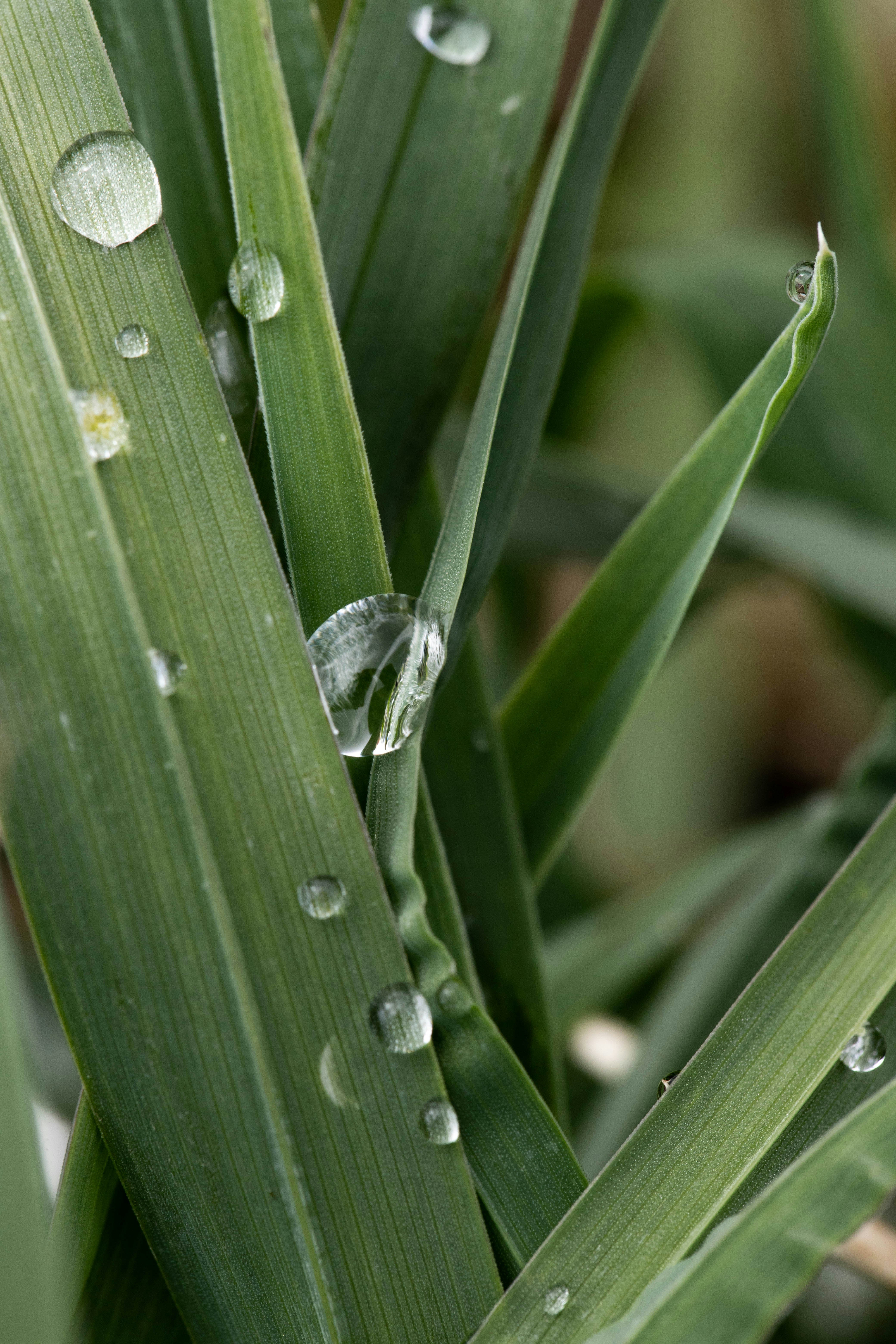 Photo by margaritaman