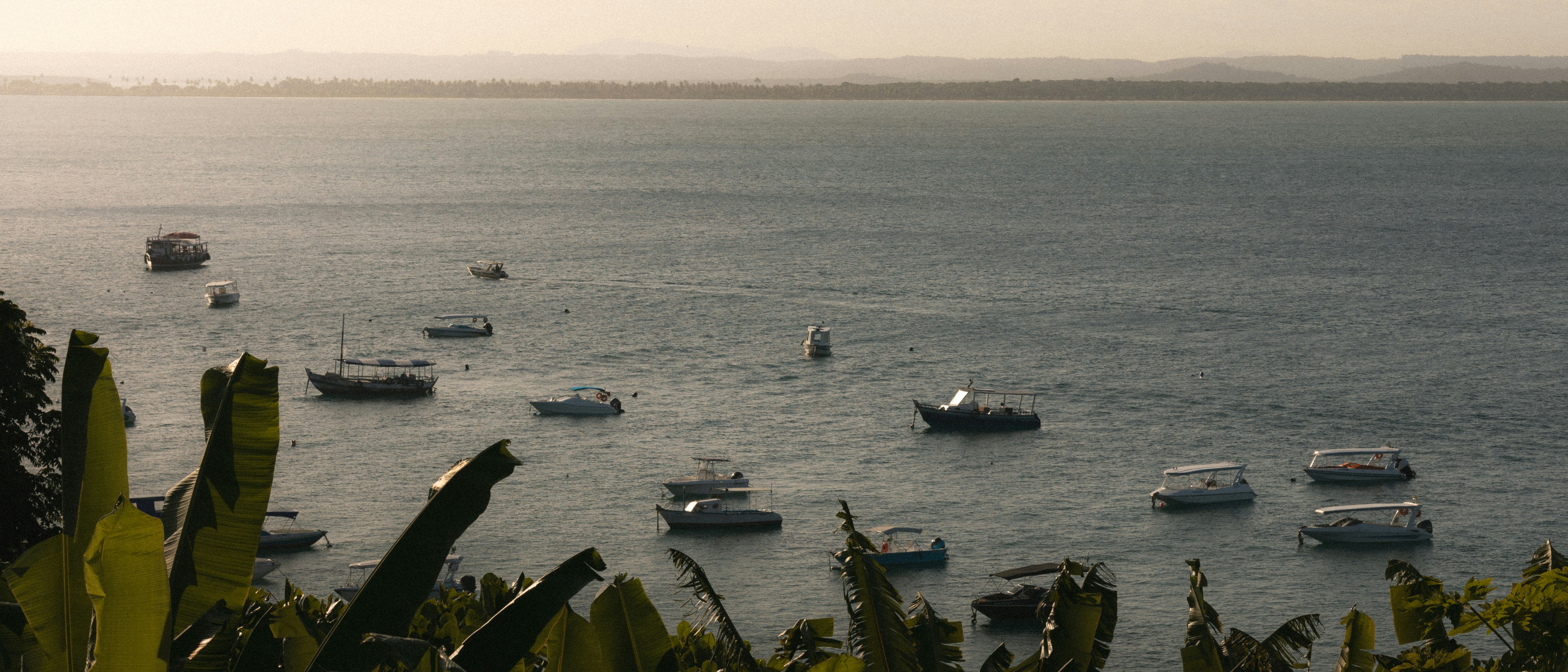 큰 수역 위에 떠 있는 한 무리의 보트