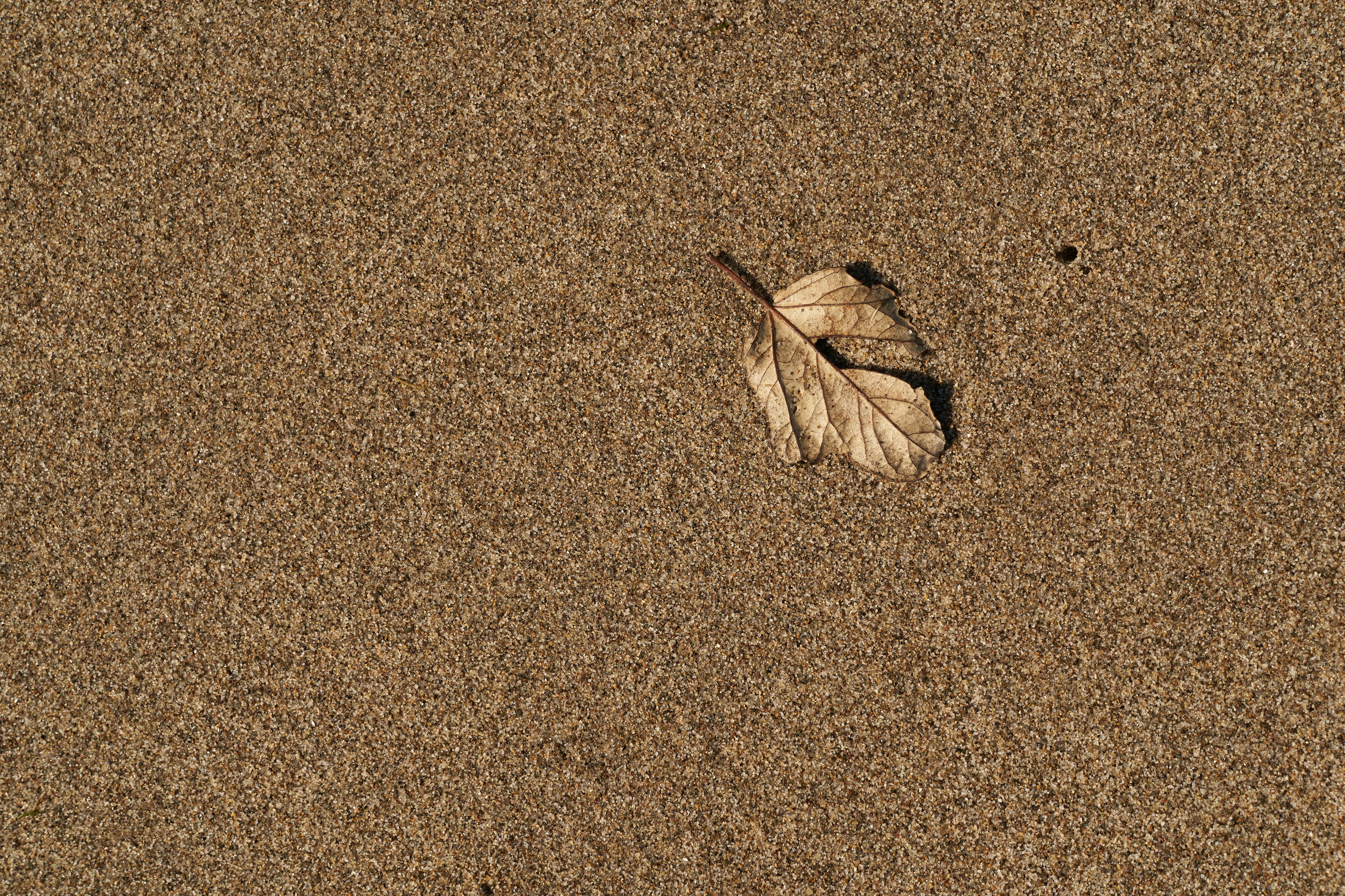 Photo by wolfgang_hasselmann