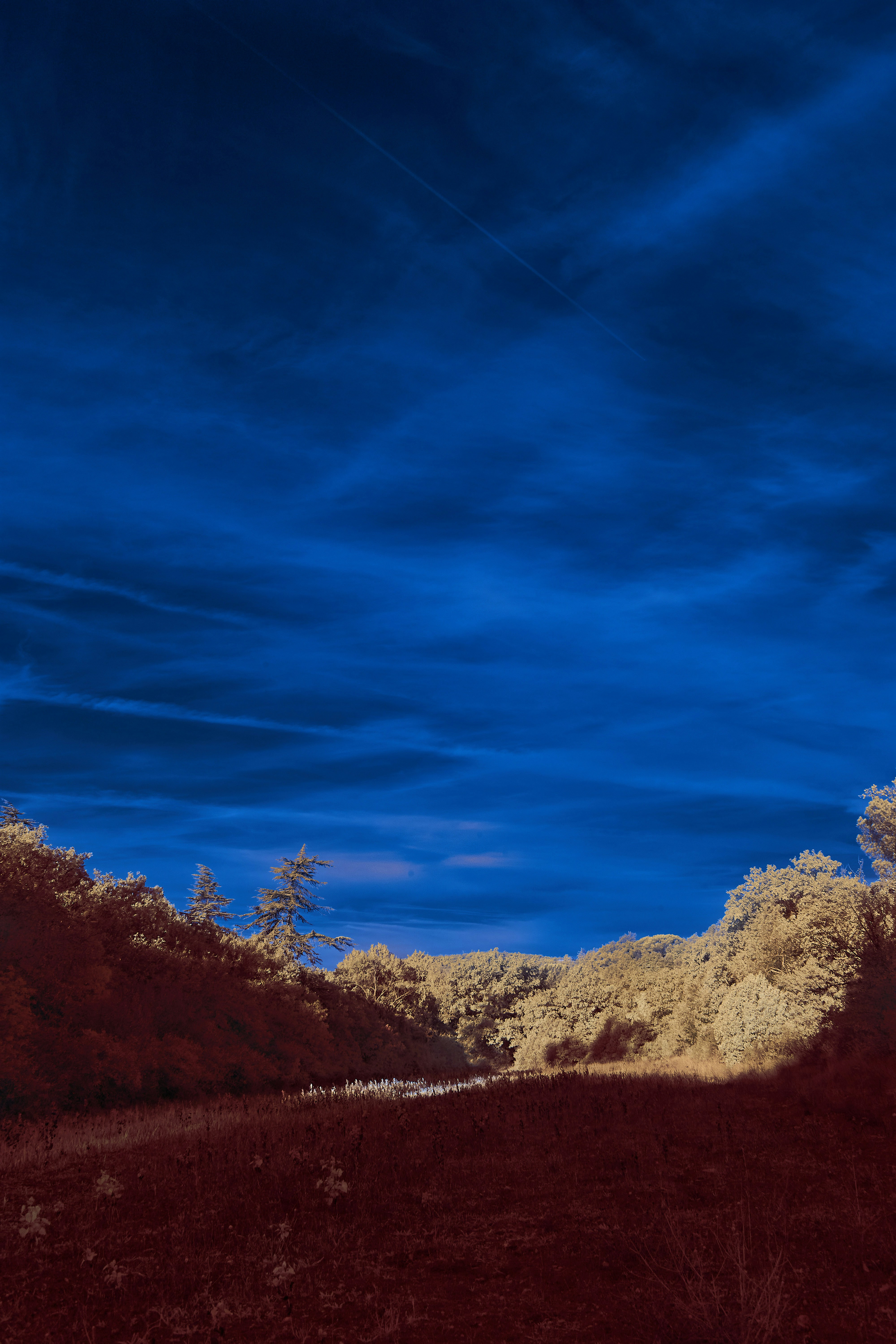 Photo by wolfgang_hasselmann