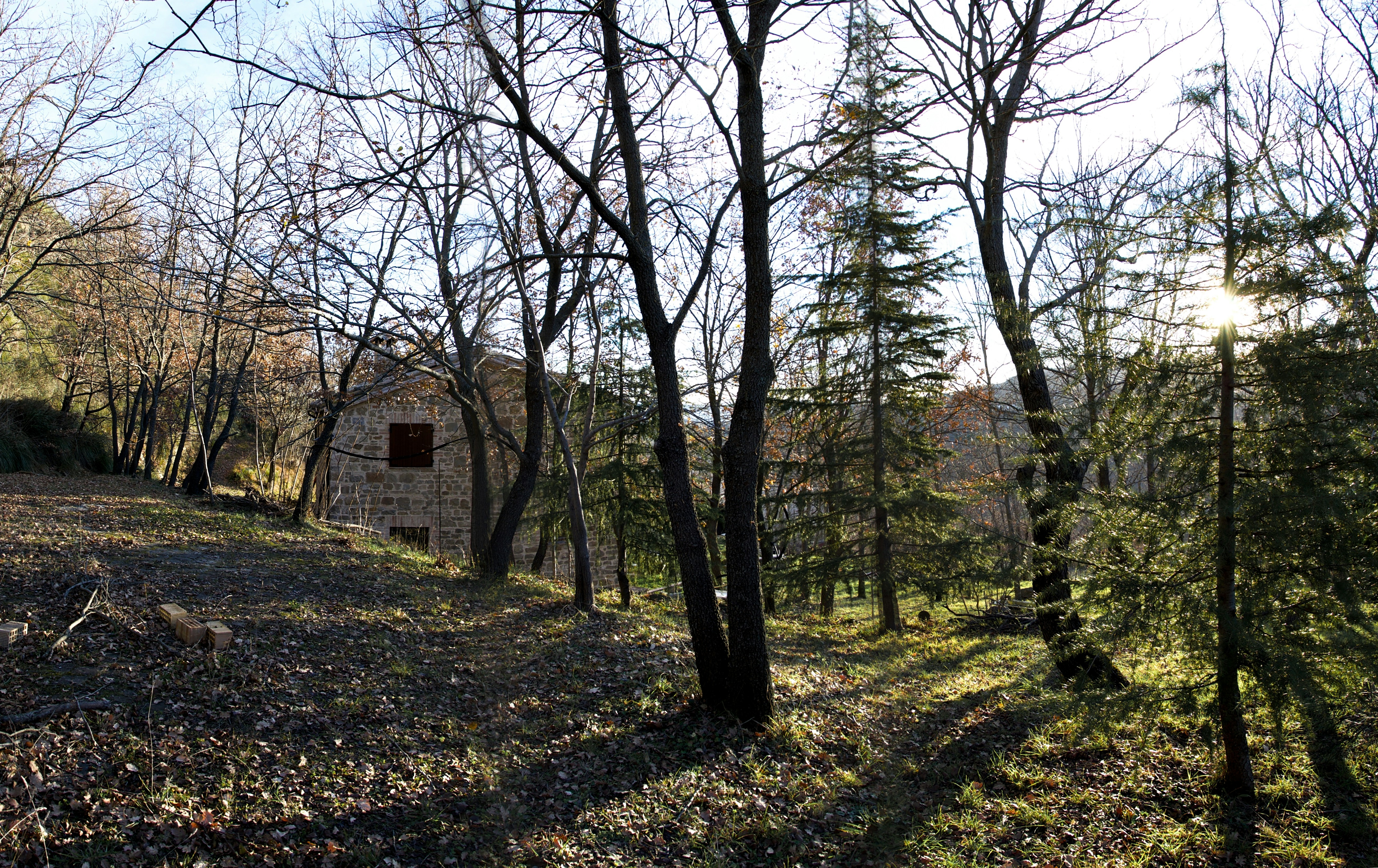 Photo by mariobeducci