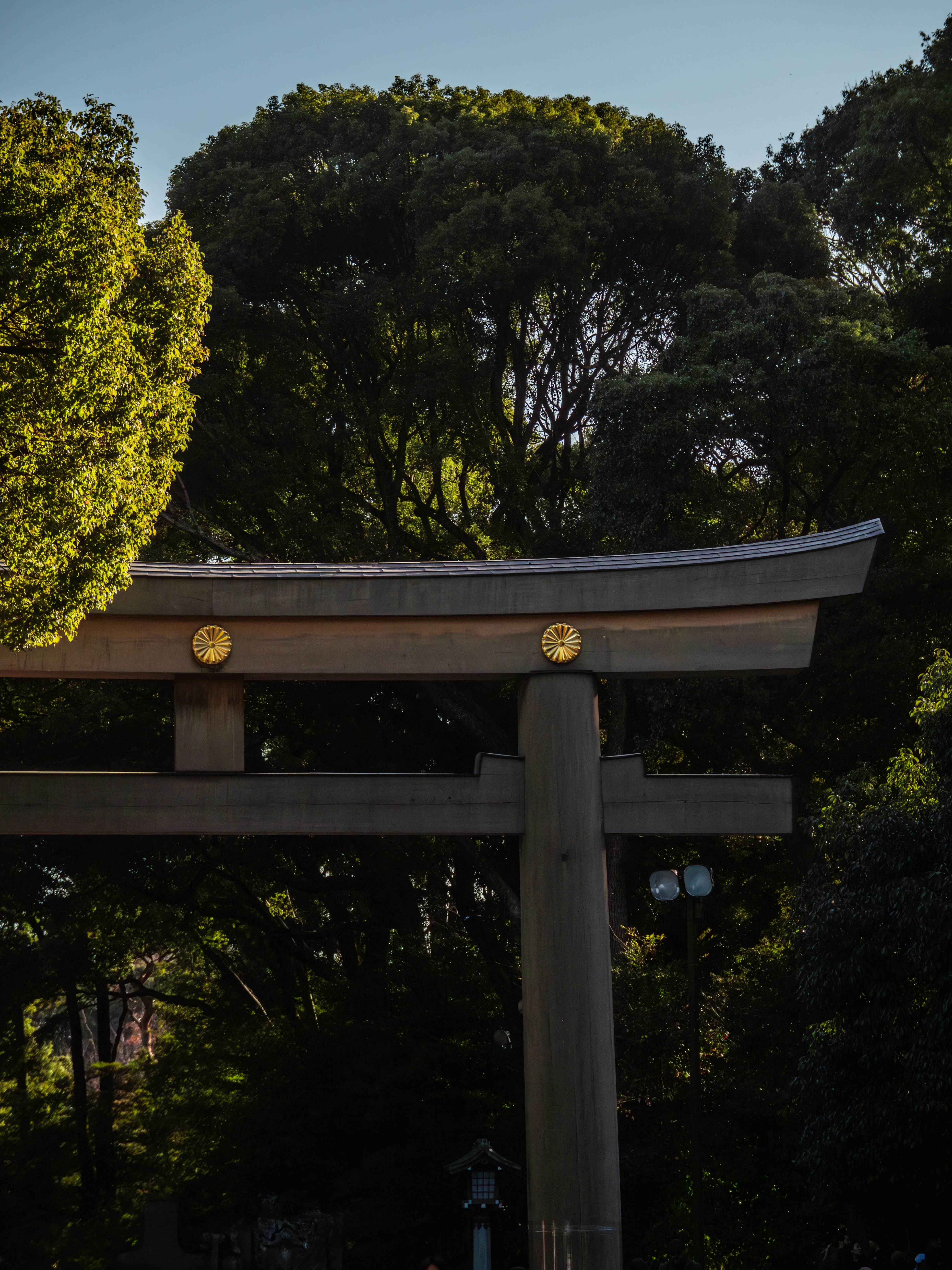 Photo by poli_graphy