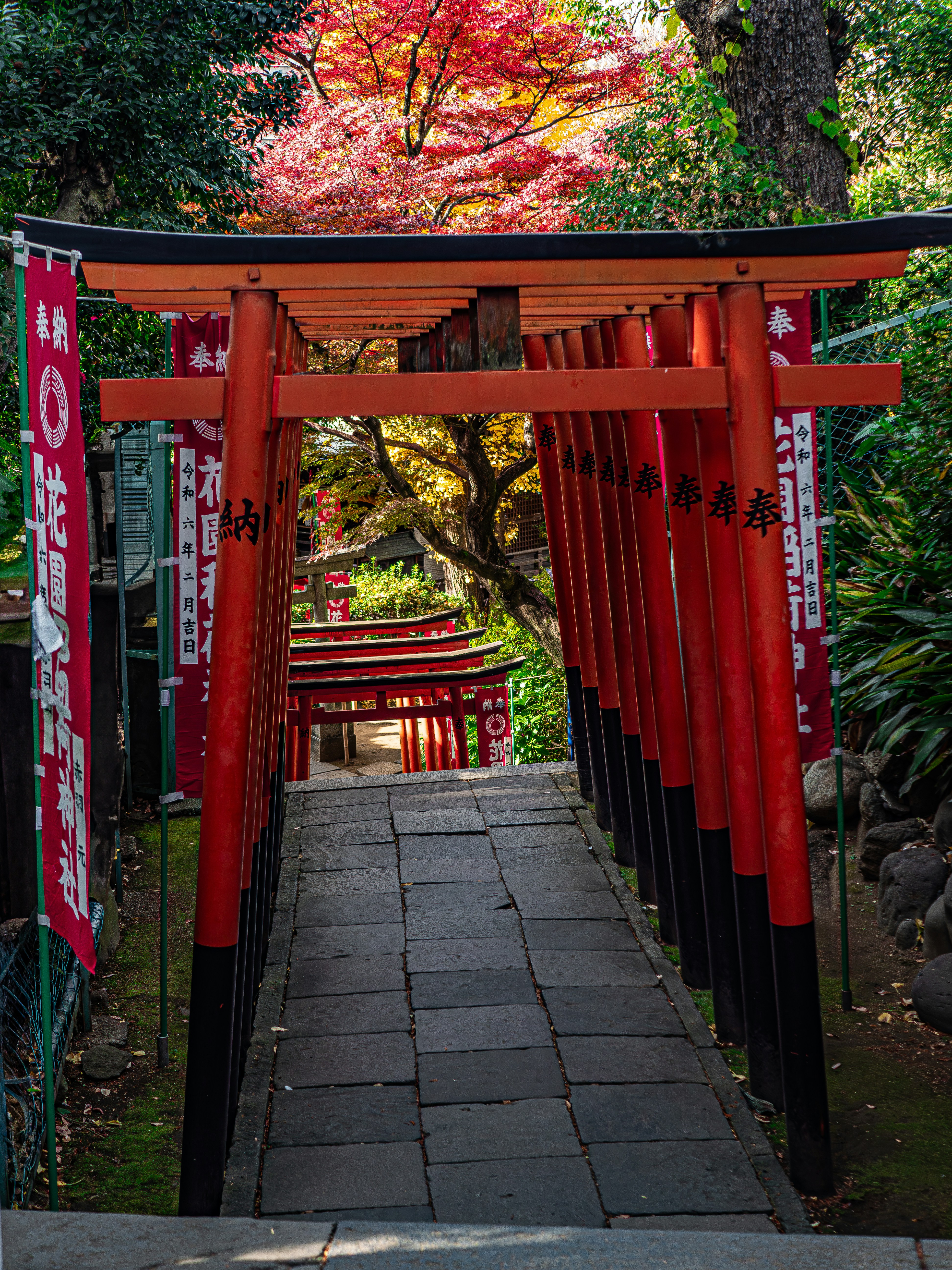 Photo by poli_graphy