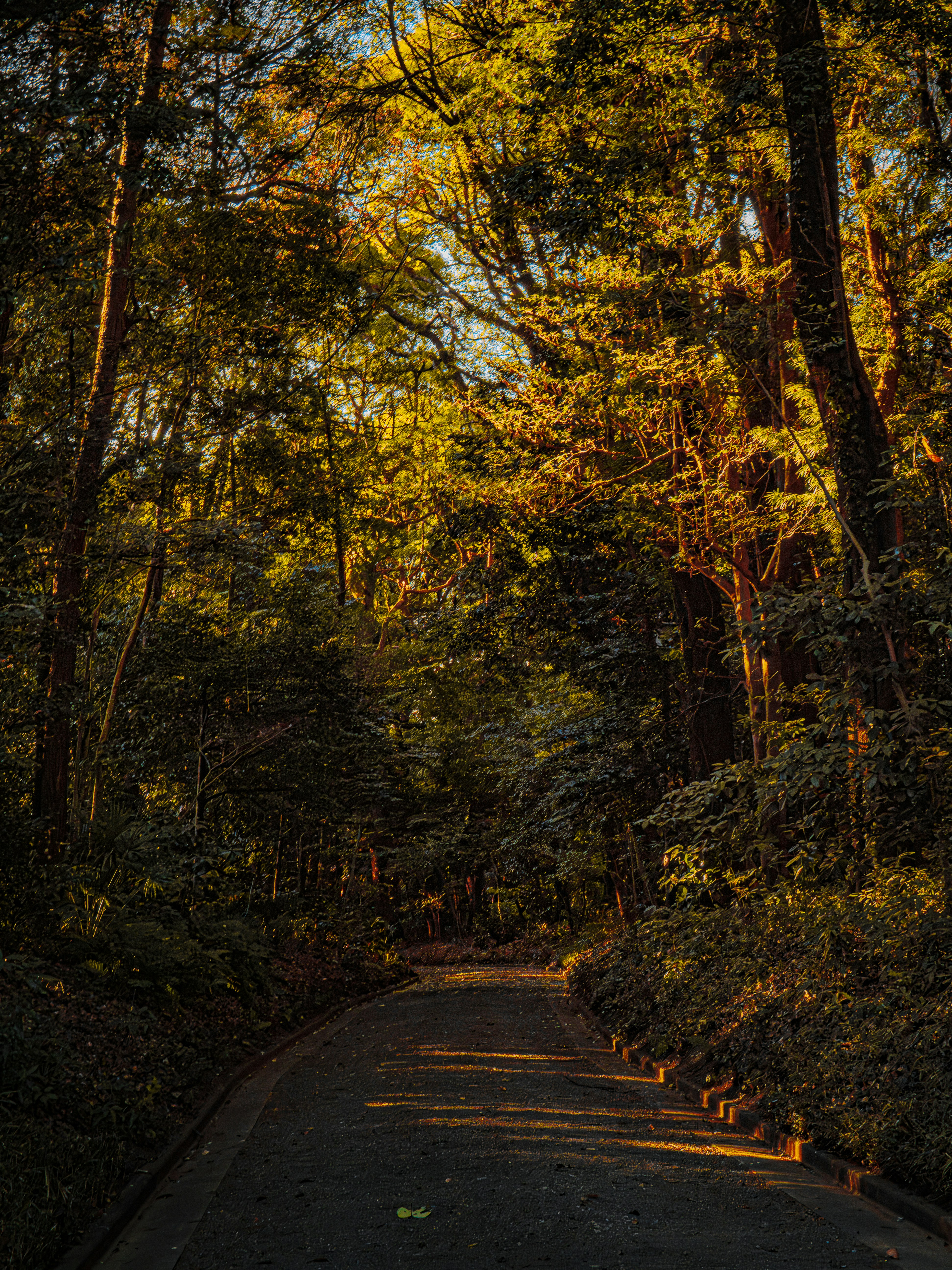 Photo by poli_graphy