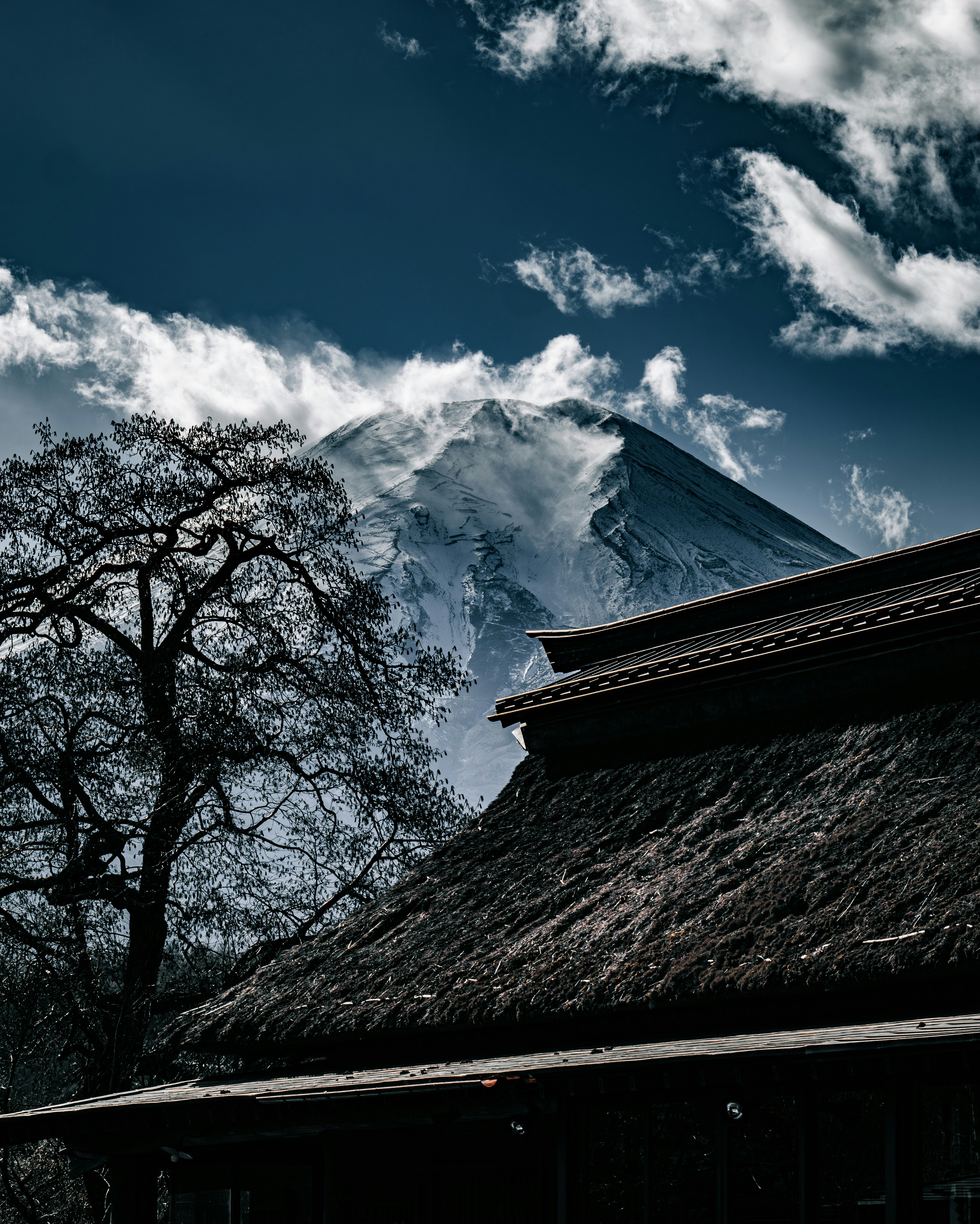 Photo by poli_graphy