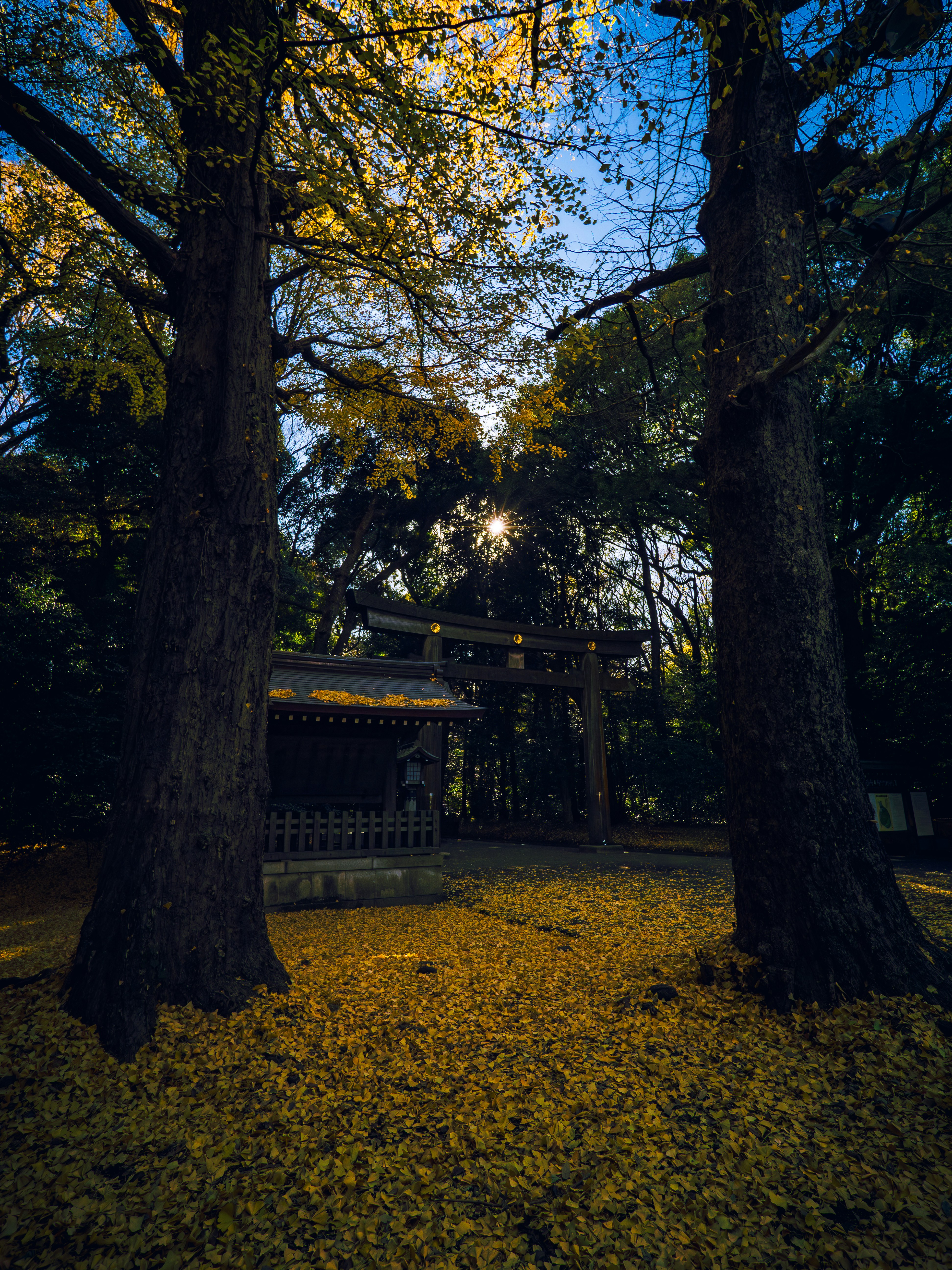Photo by poli_graphy