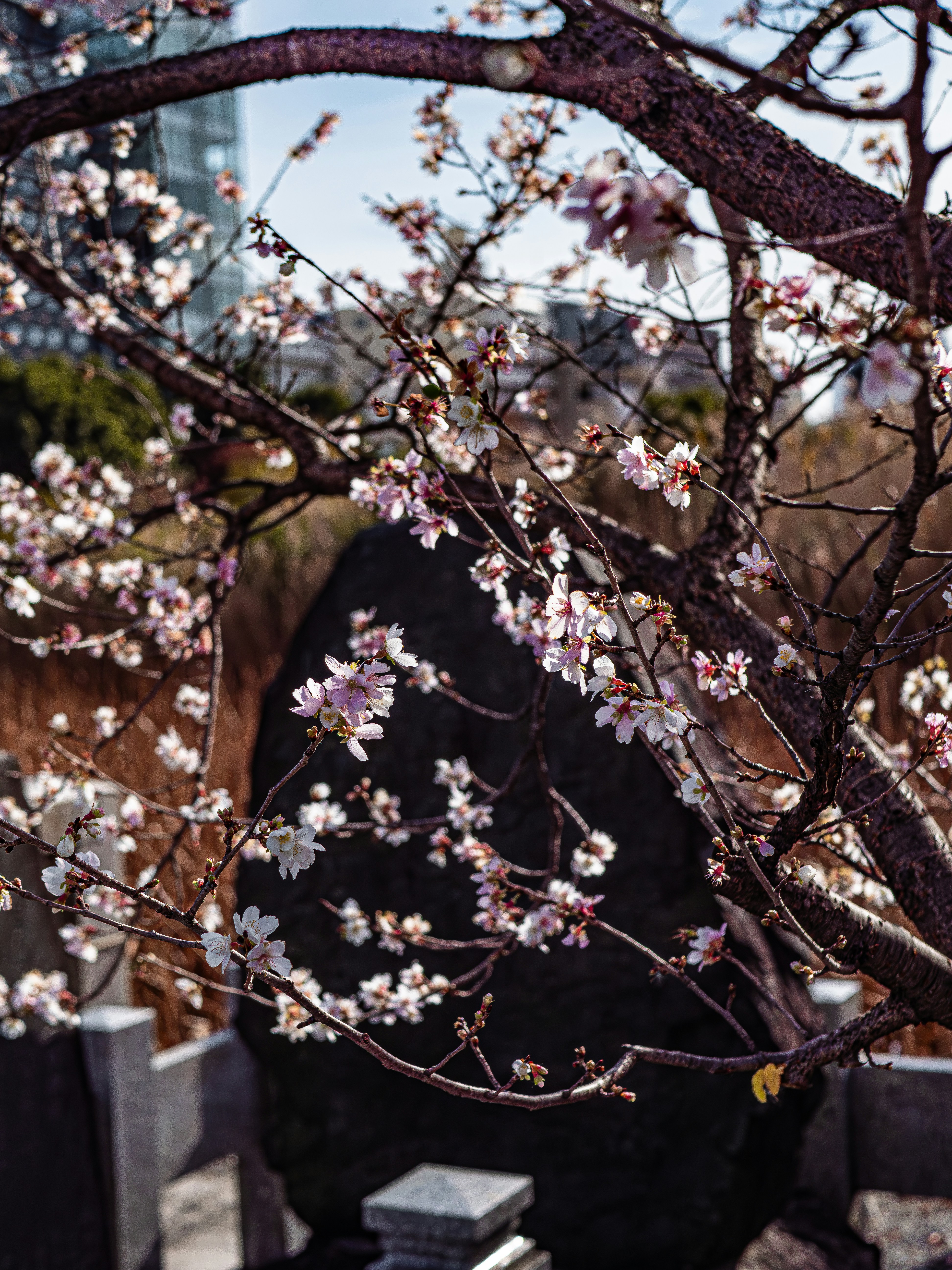 Photo by poli_graphy