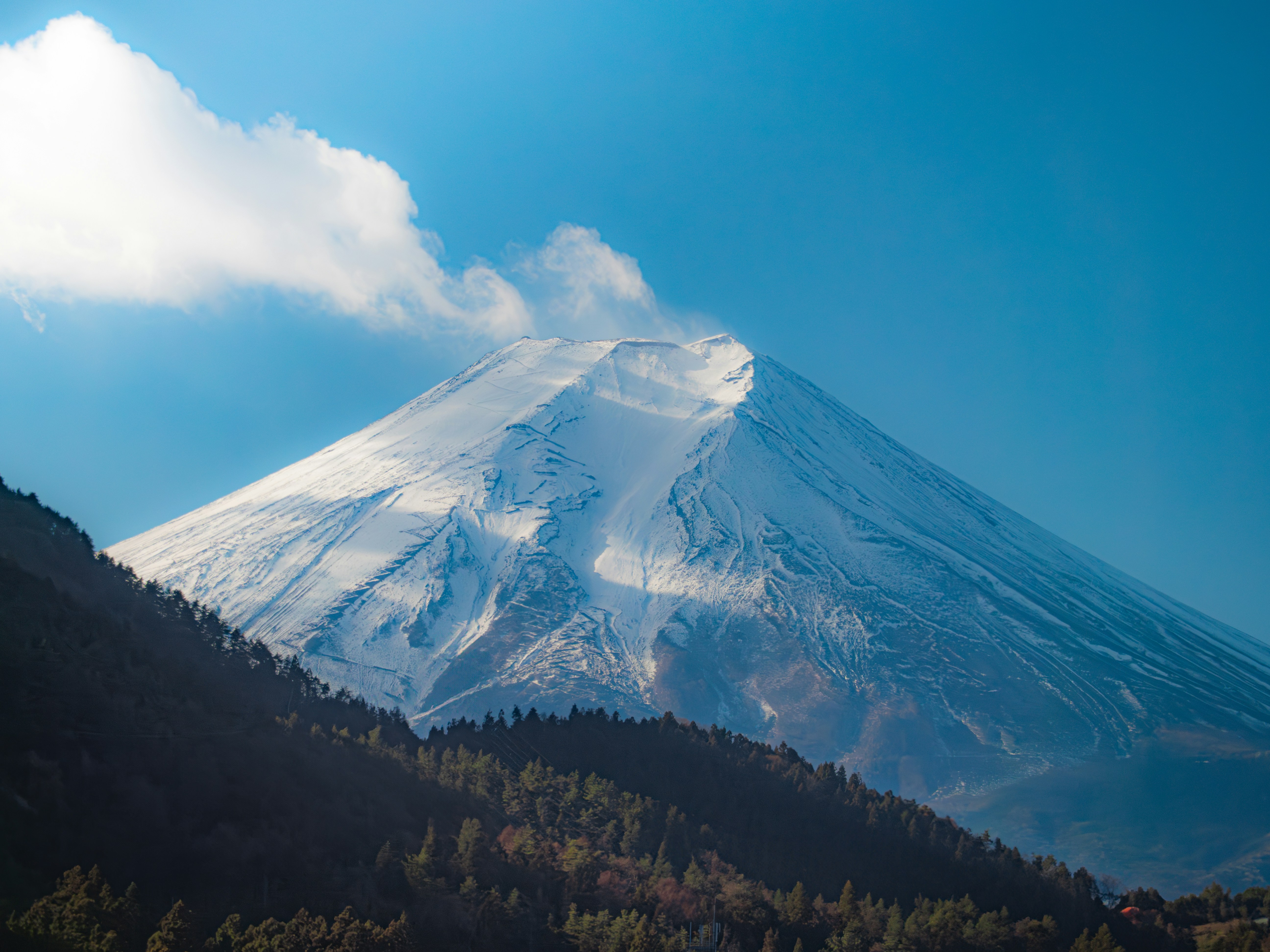 Photo by poli_graphy