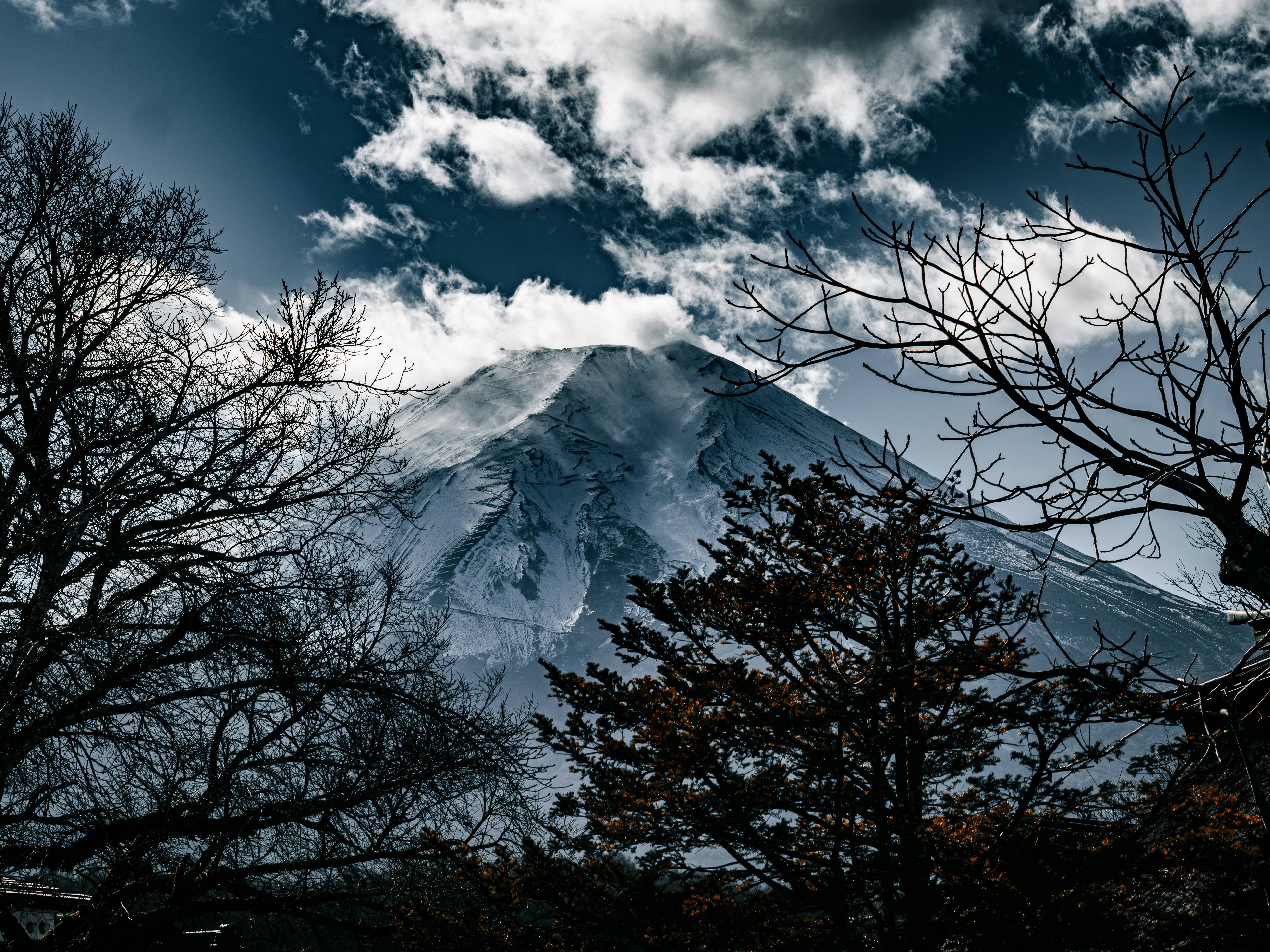 Photo by poli_graphy