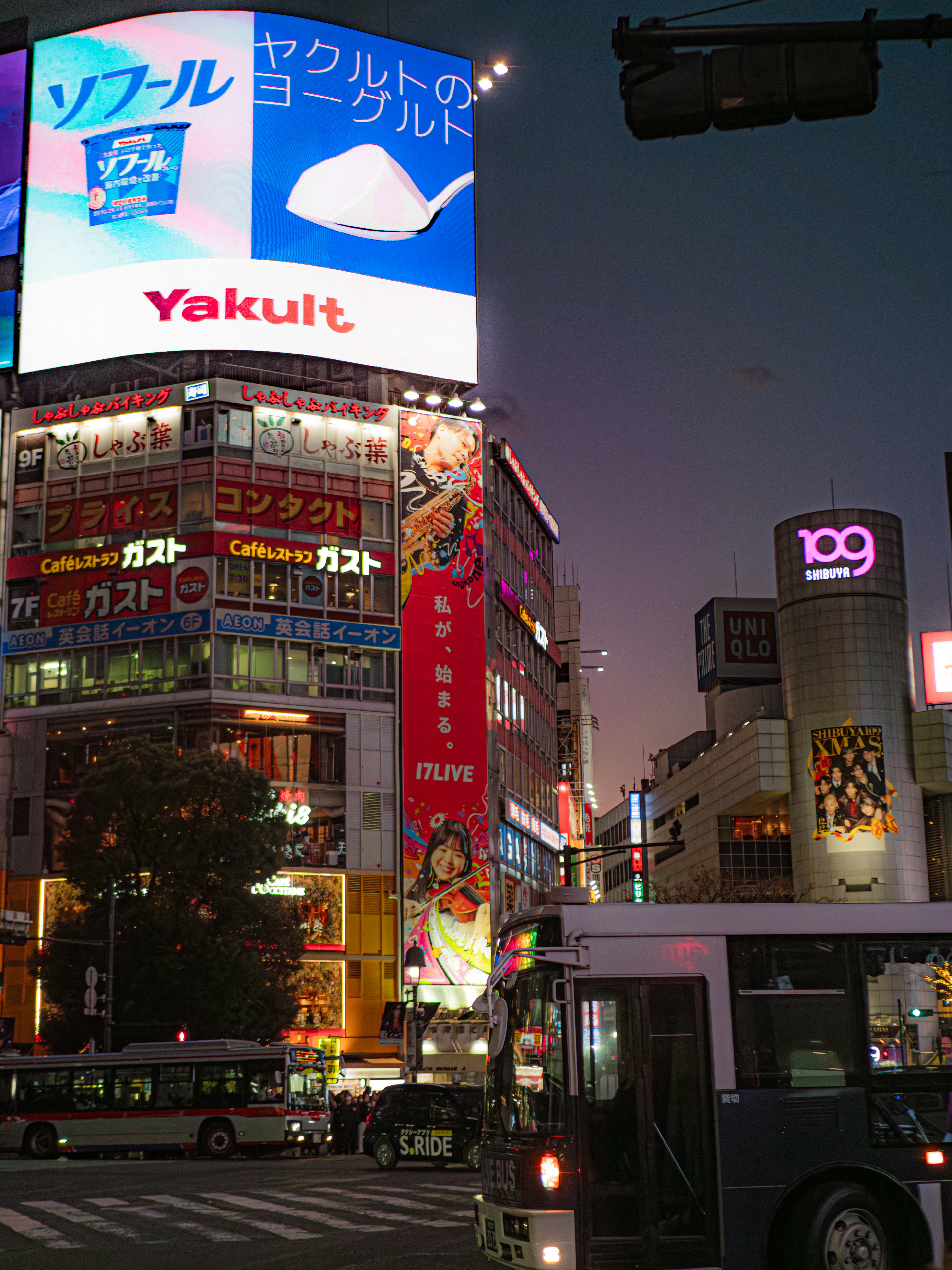 Photo by poli_graphy