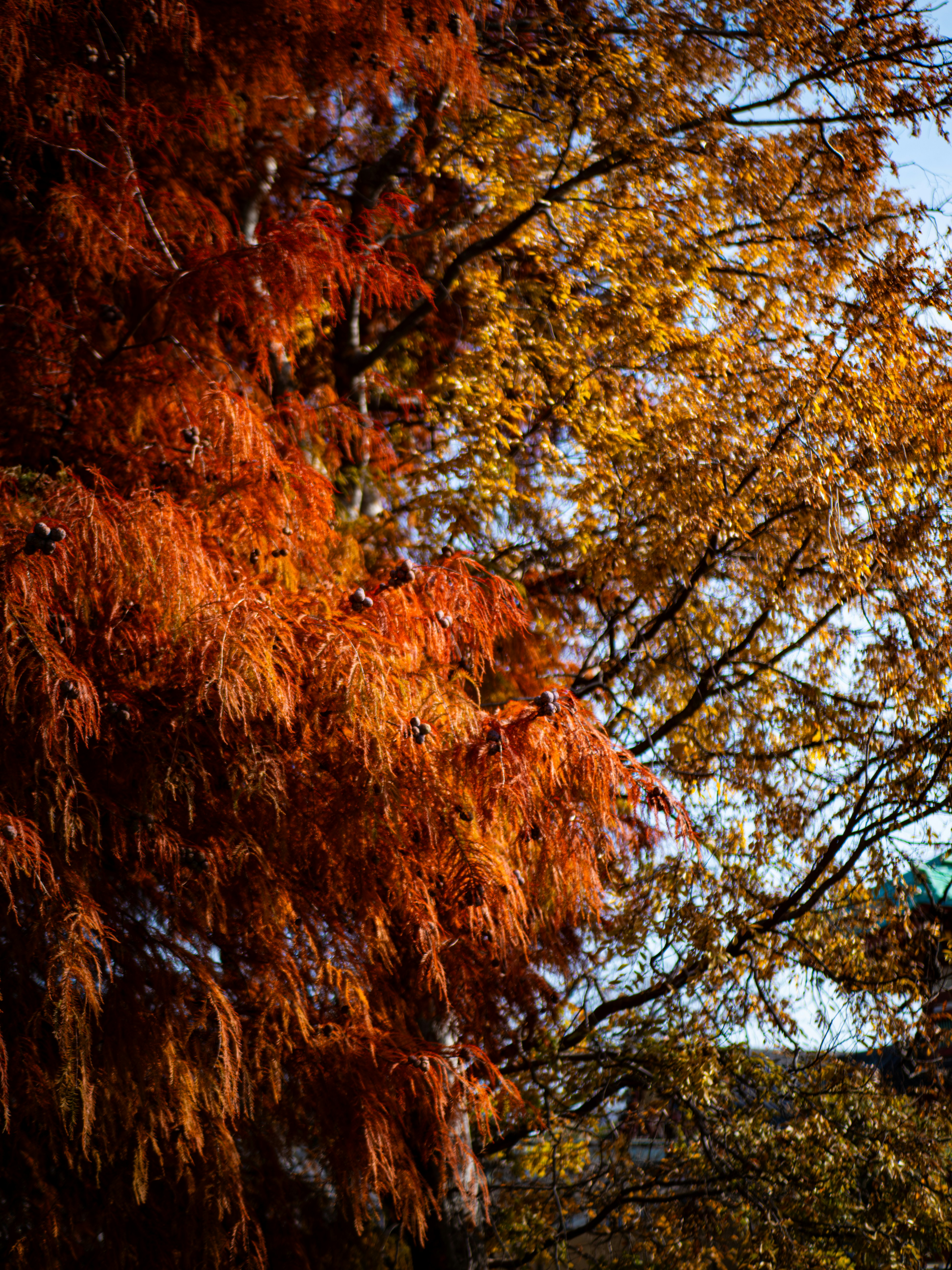 Photo by poli_graphy