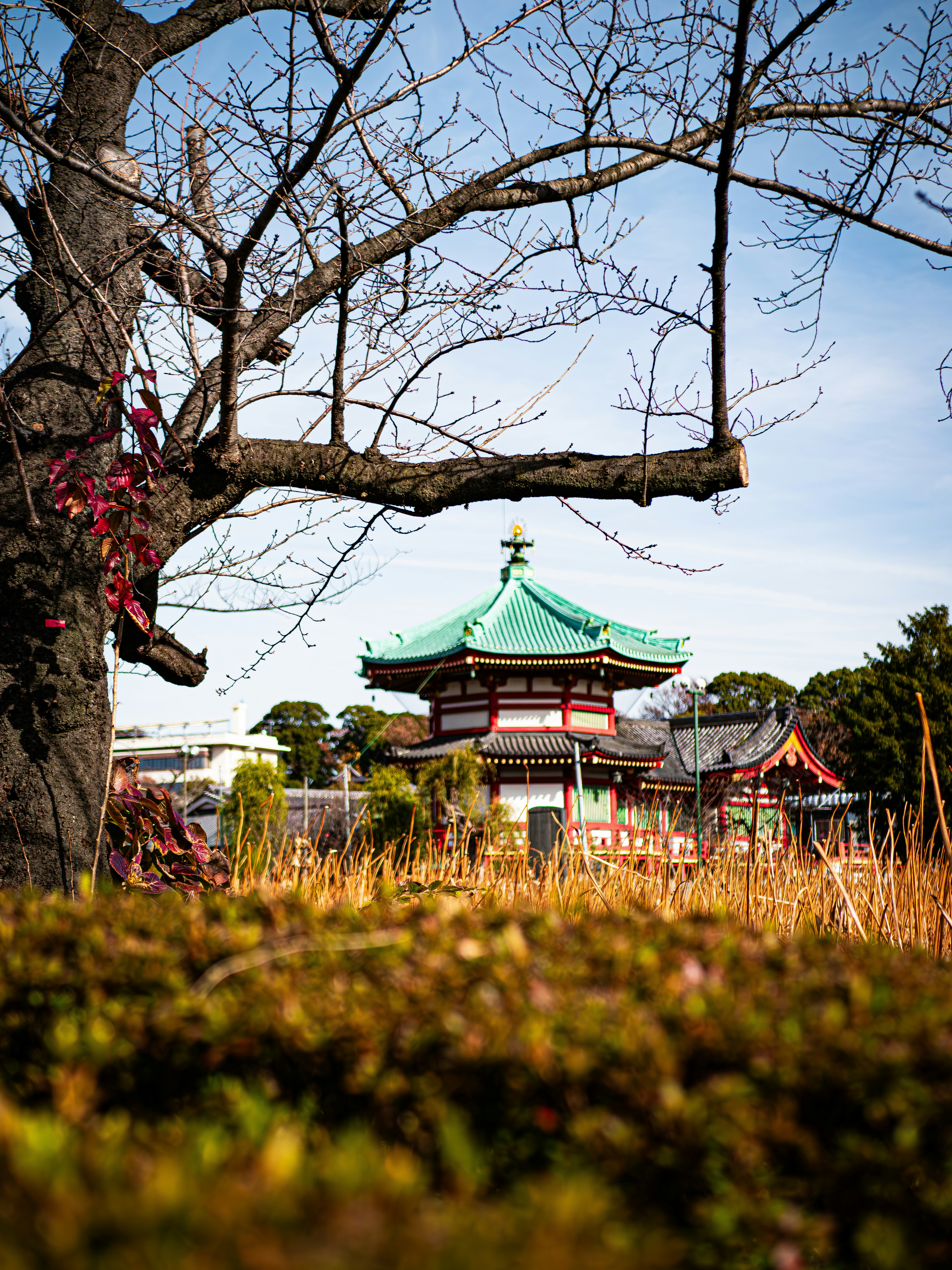 Photo by poli_graphy