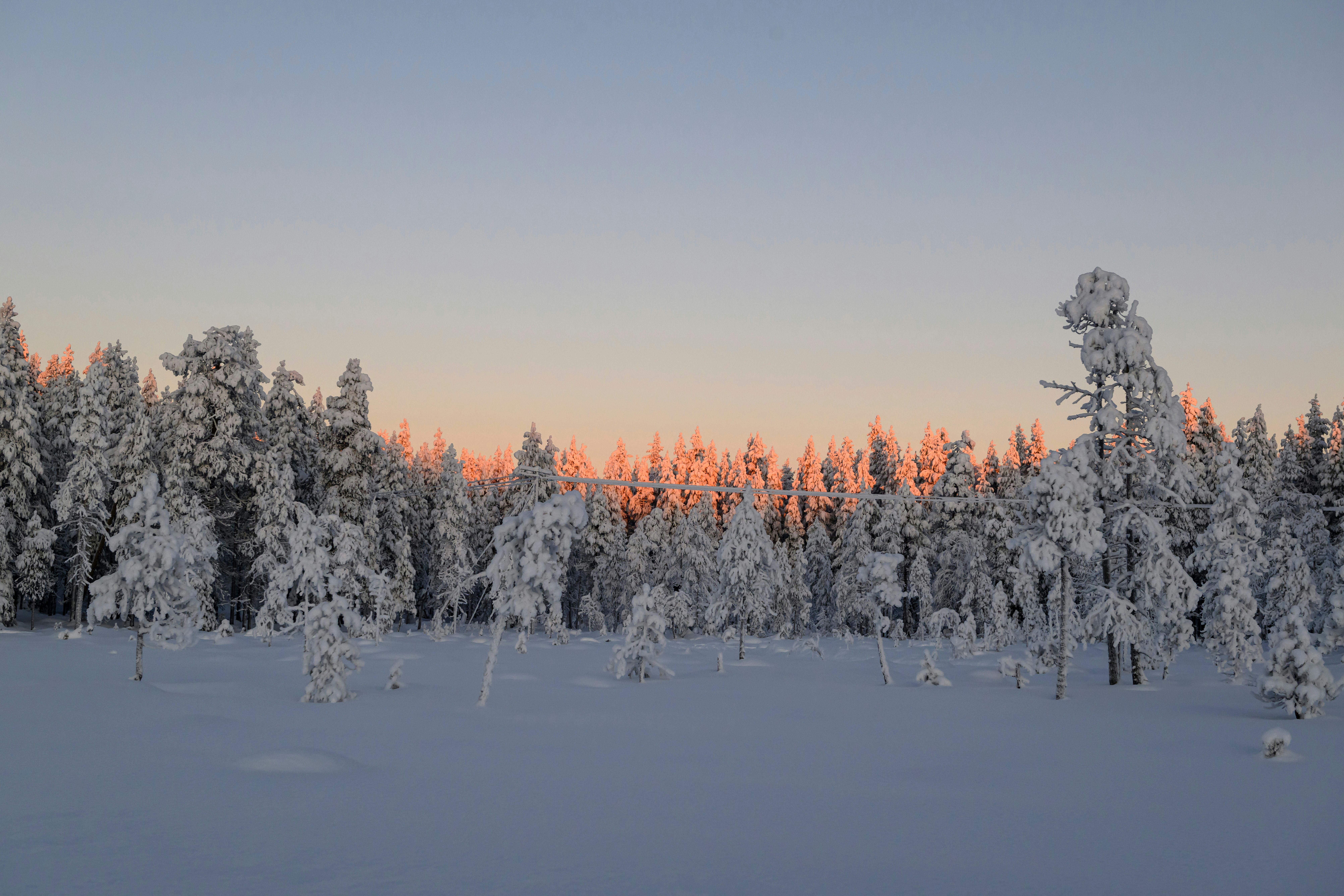 A snow covered field with trees in the background