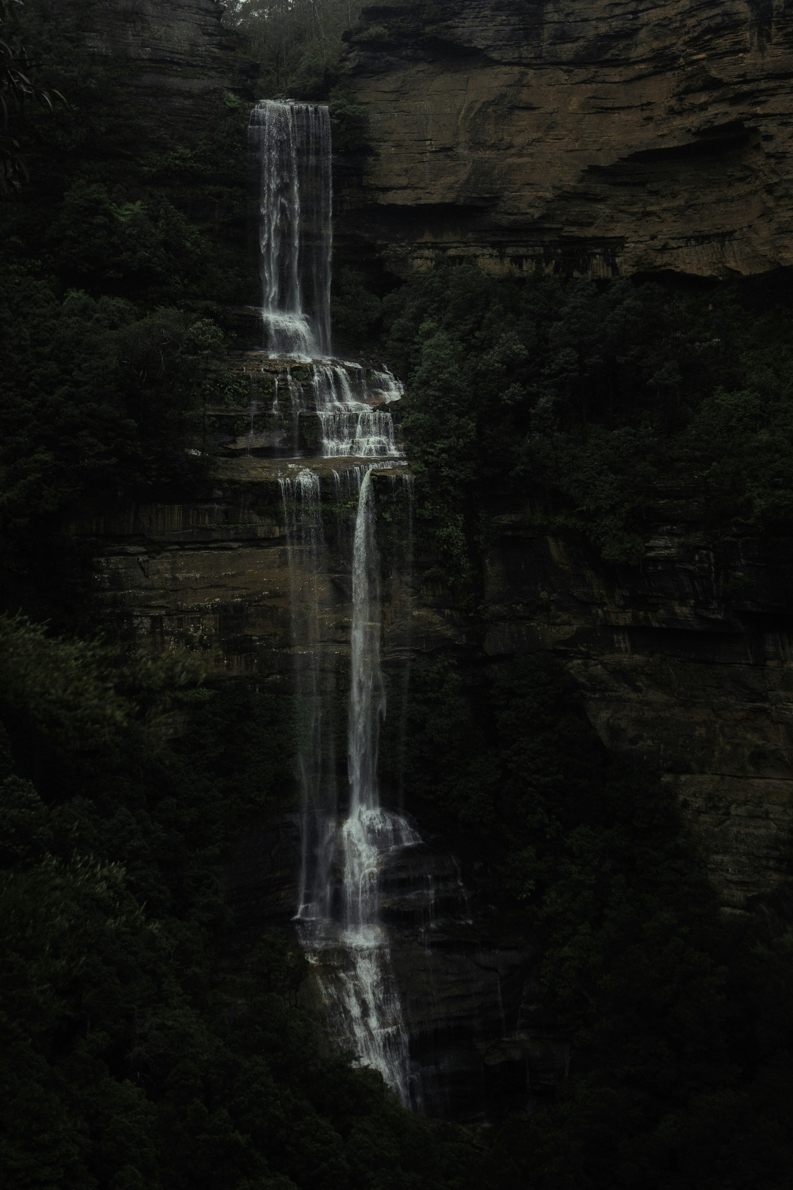 Photo by behindthetmuna