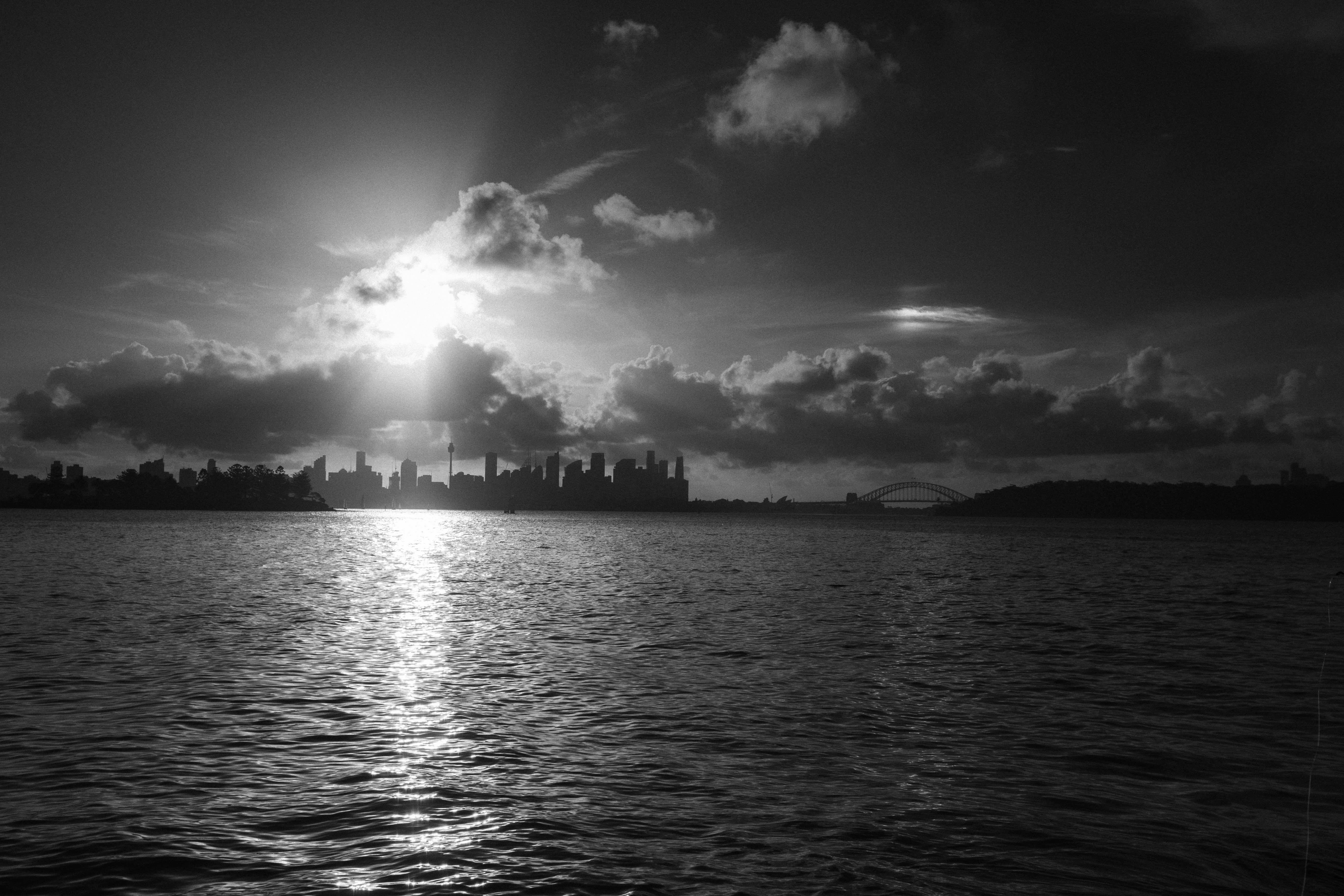 Photo by behindthetmuna