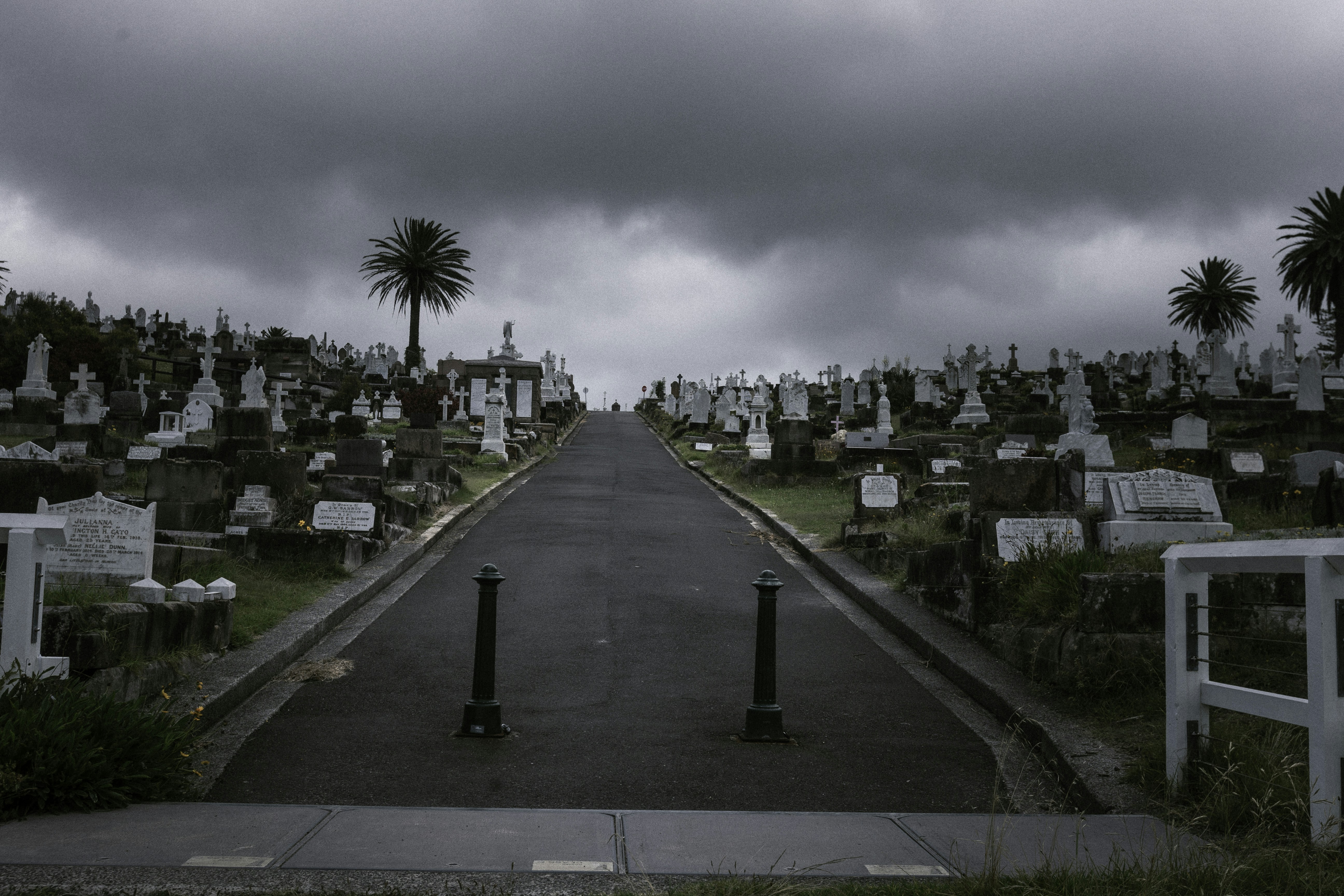 A cemetery with palm trees and a cloudy sky
