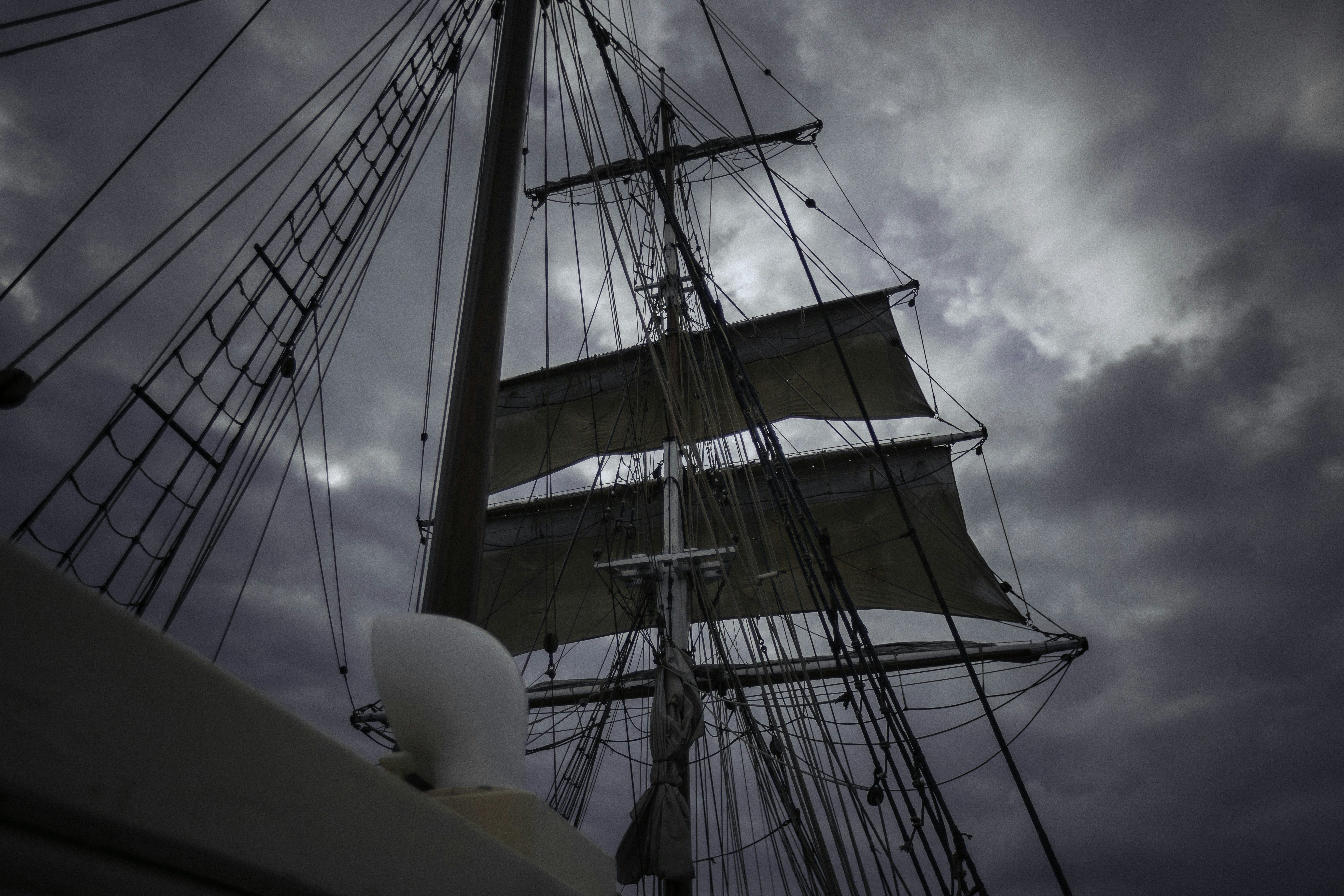 Photo by behindthetmuna