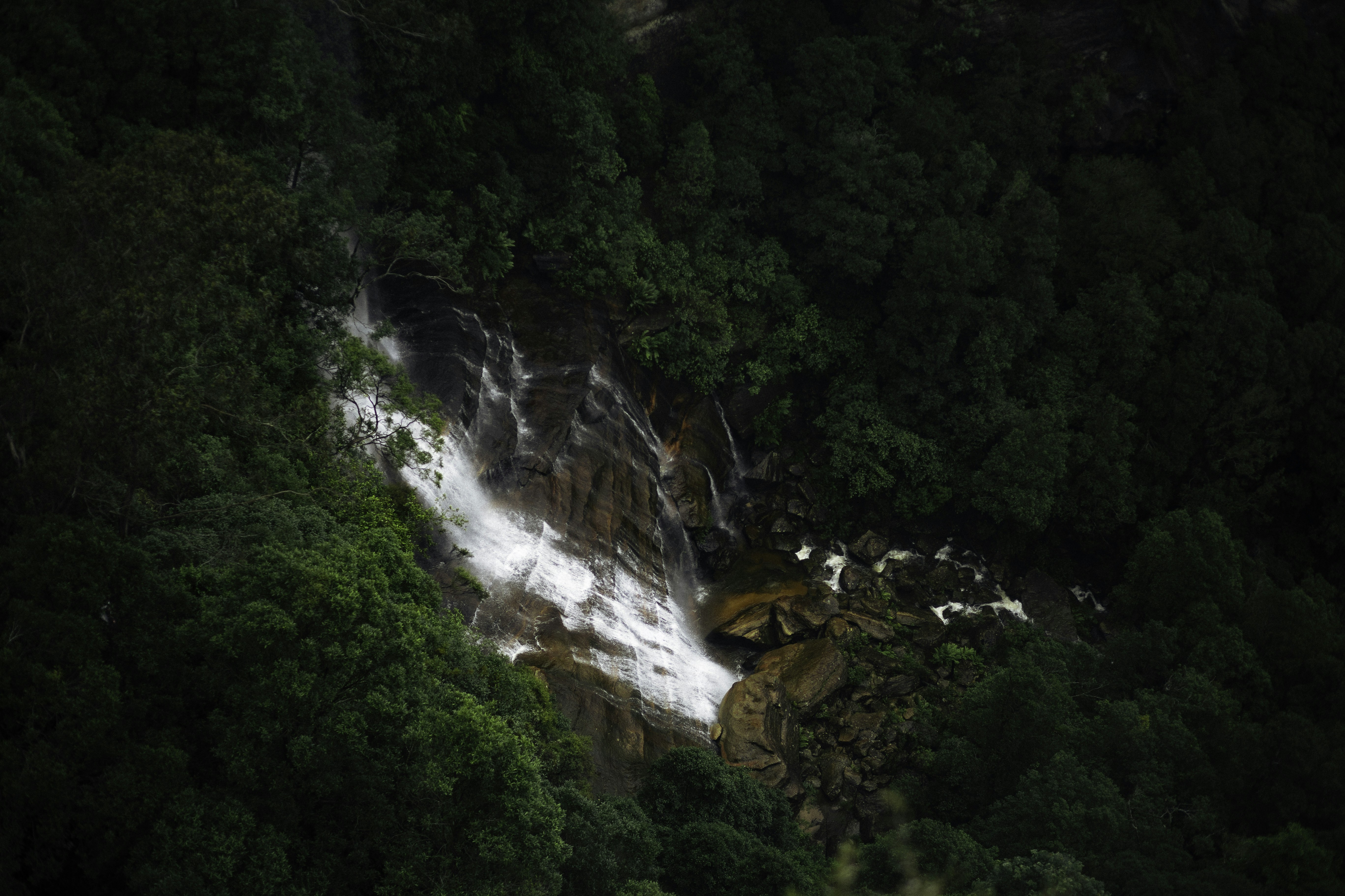 Photo by behindthetmuna