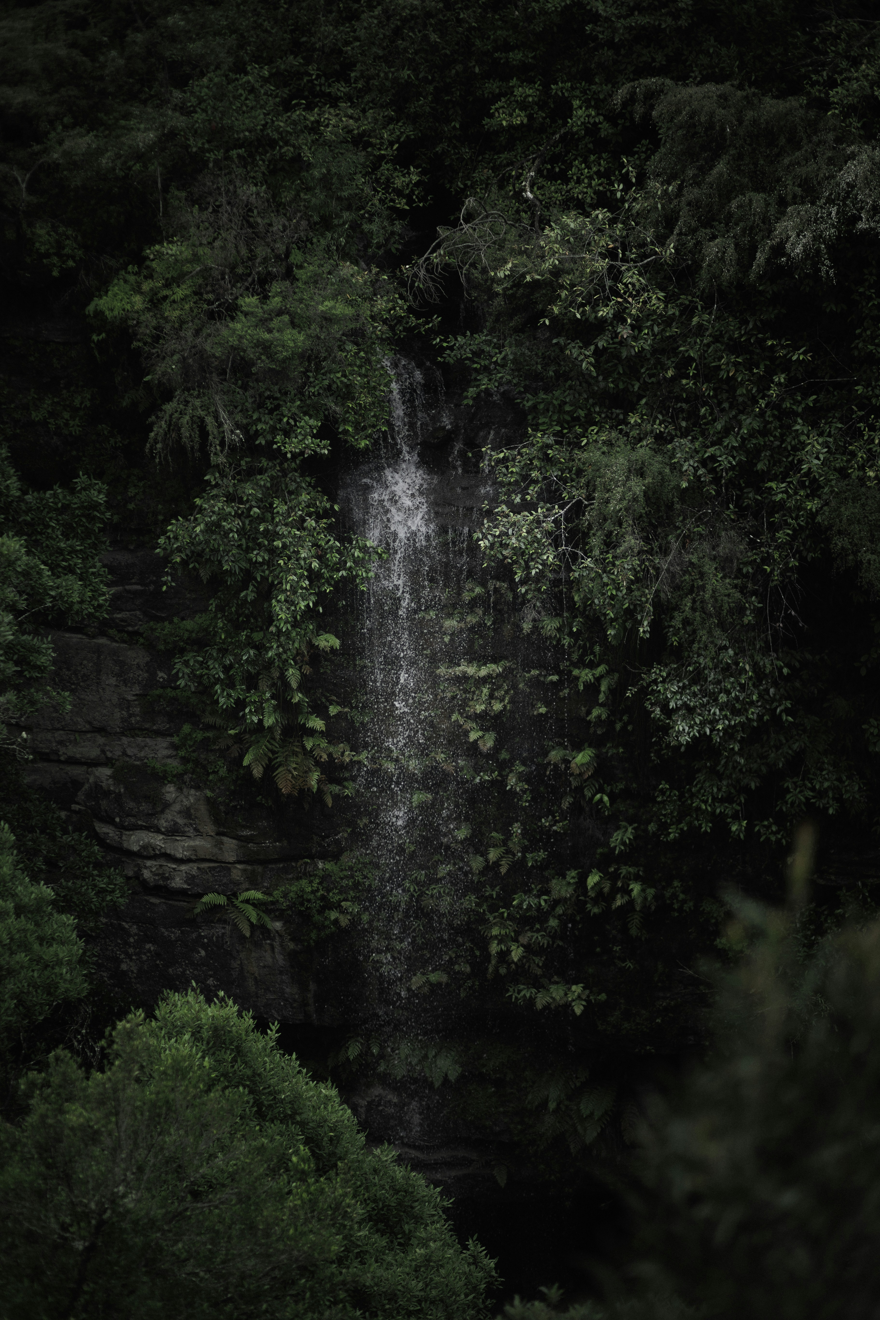 Photo by behindthetmuna