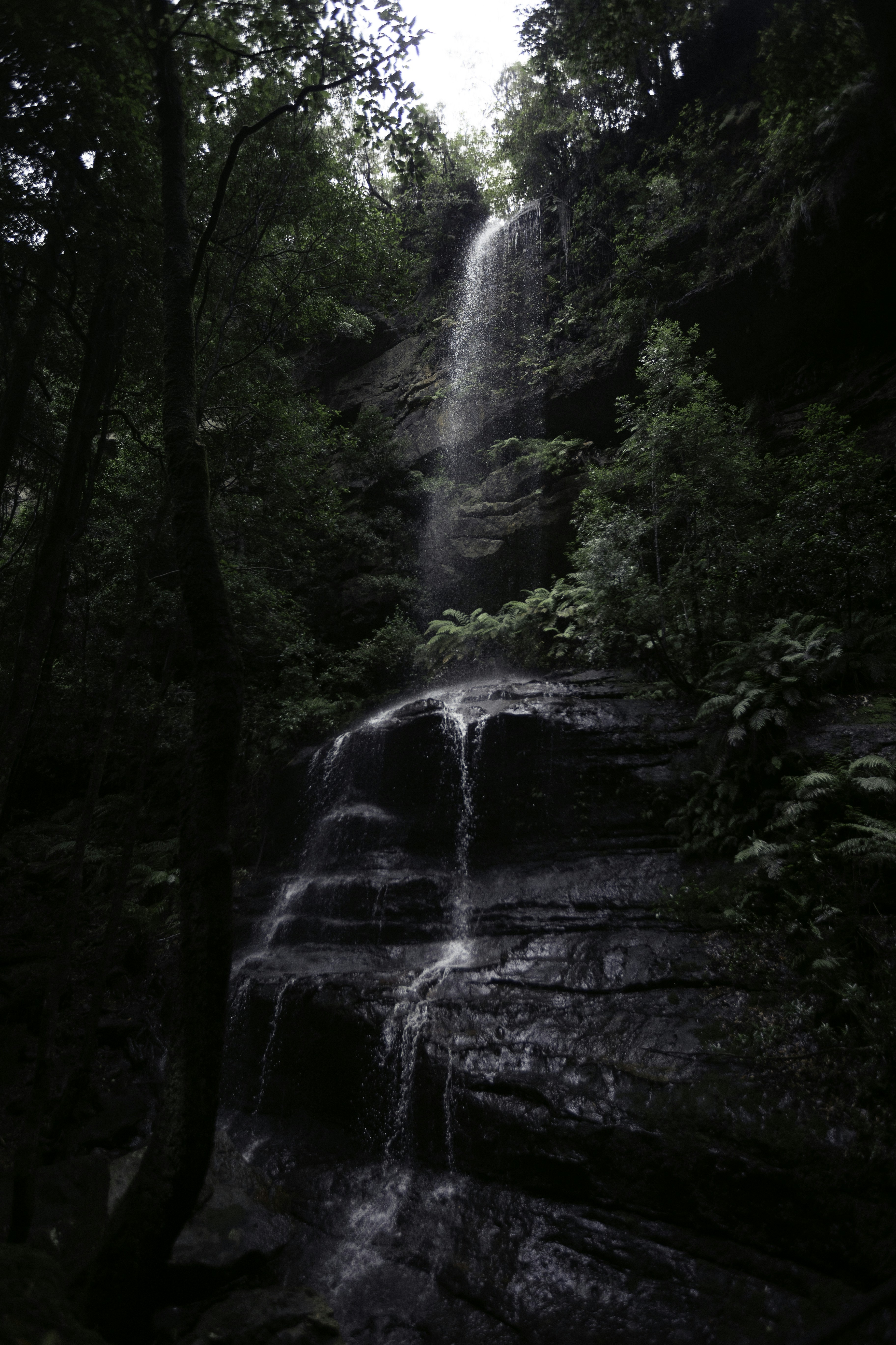 Photo by behindthetmuna