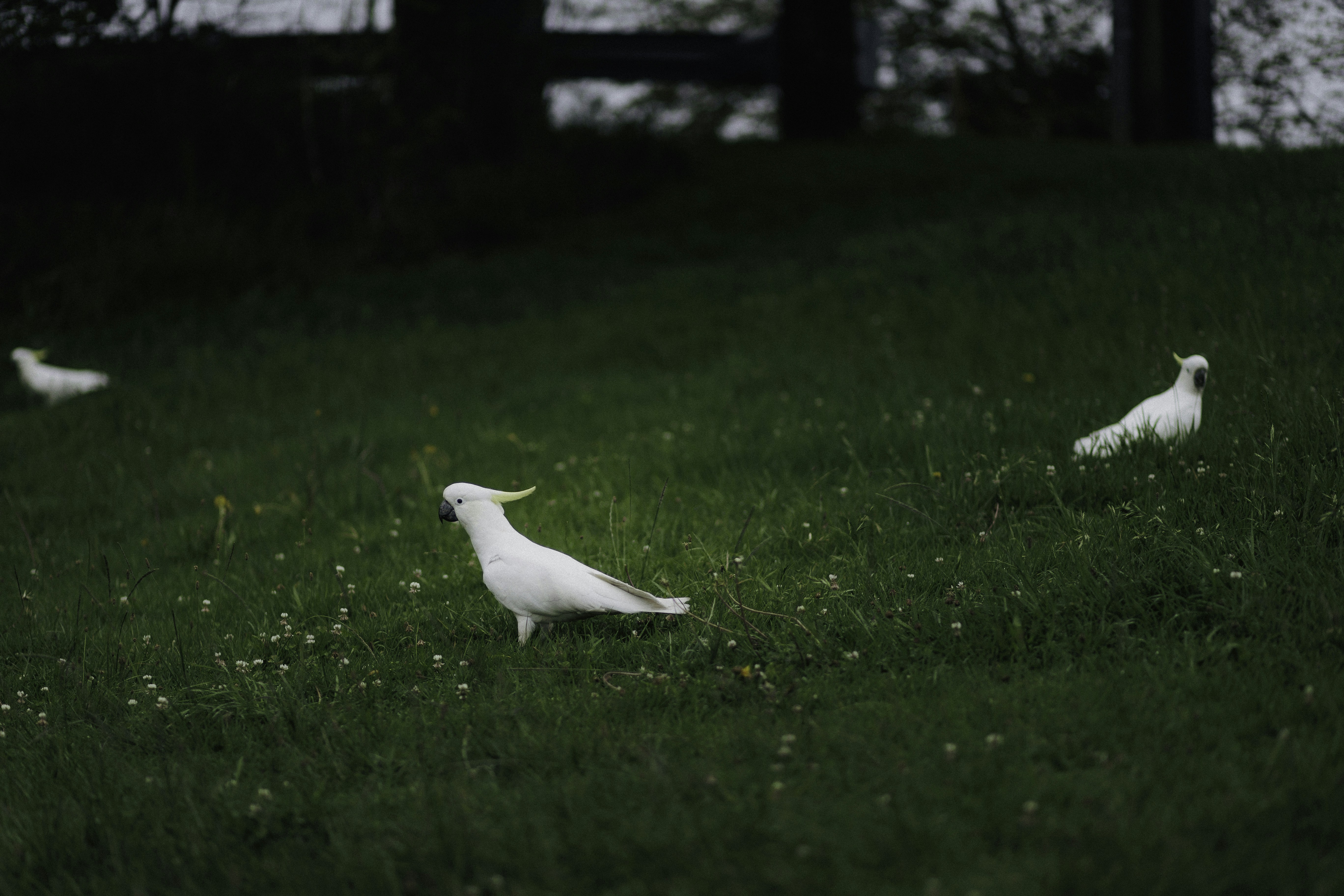 Photo by behindthetmuna