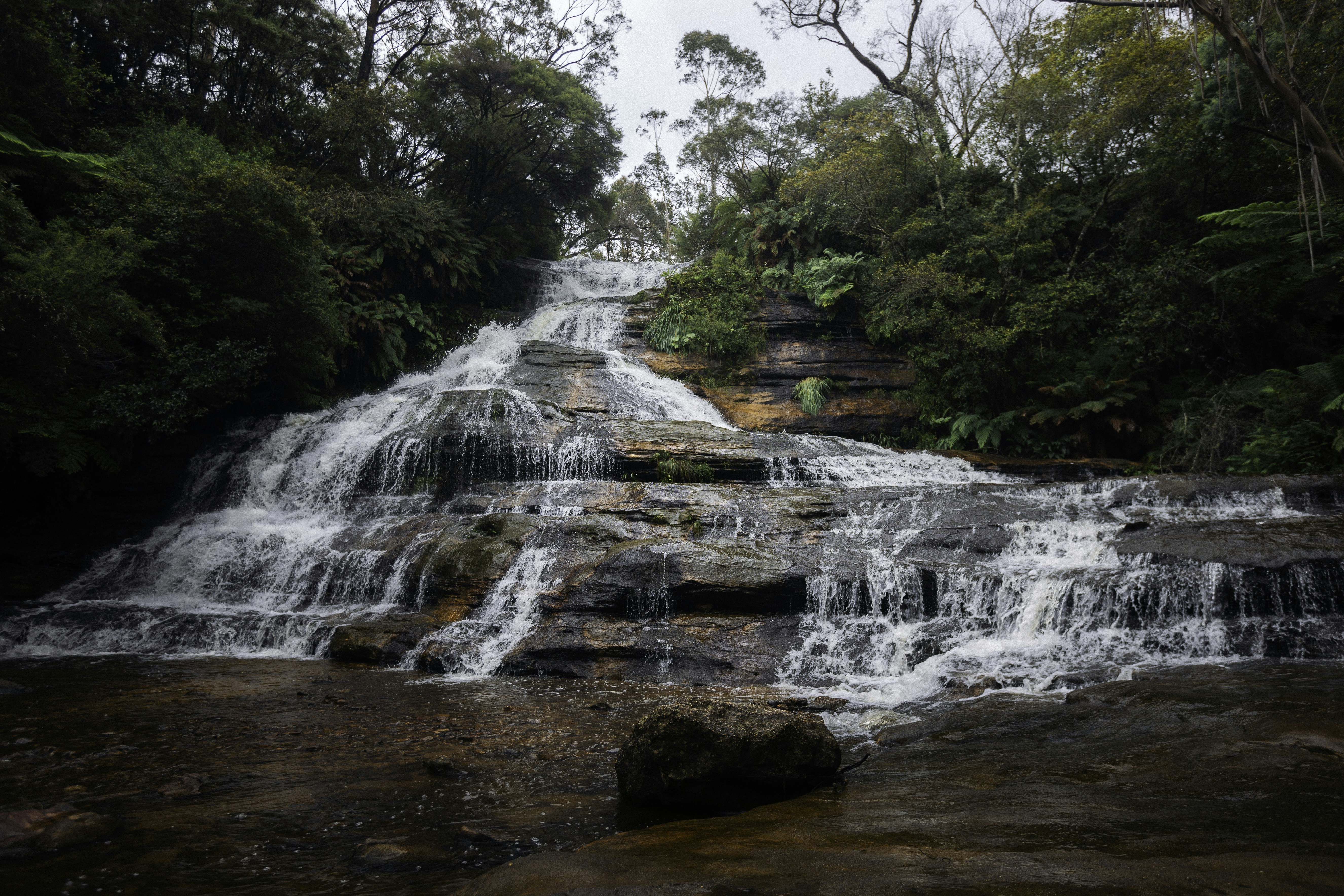 Photo by behindthetmuna