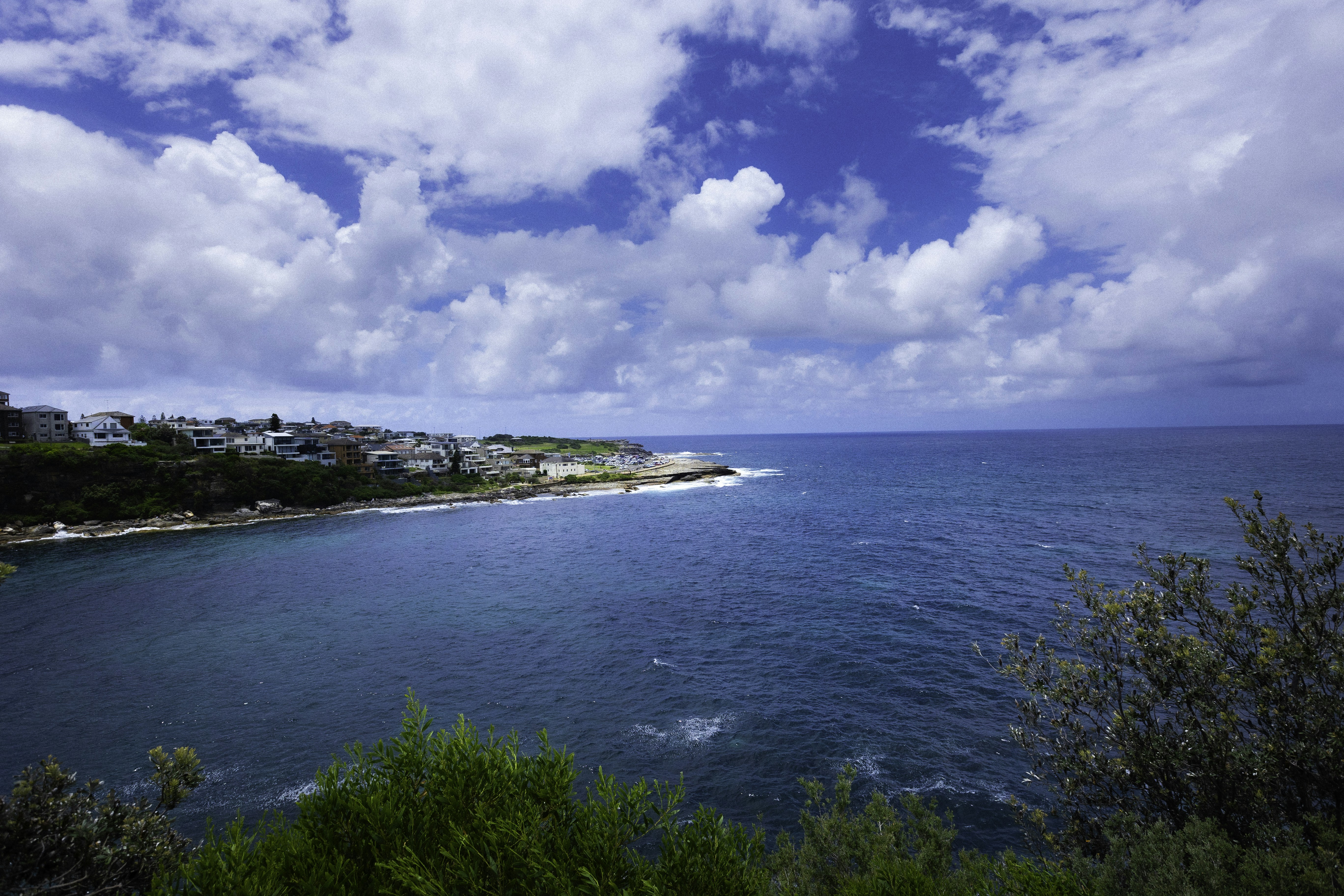 Photo by behindthetmuna