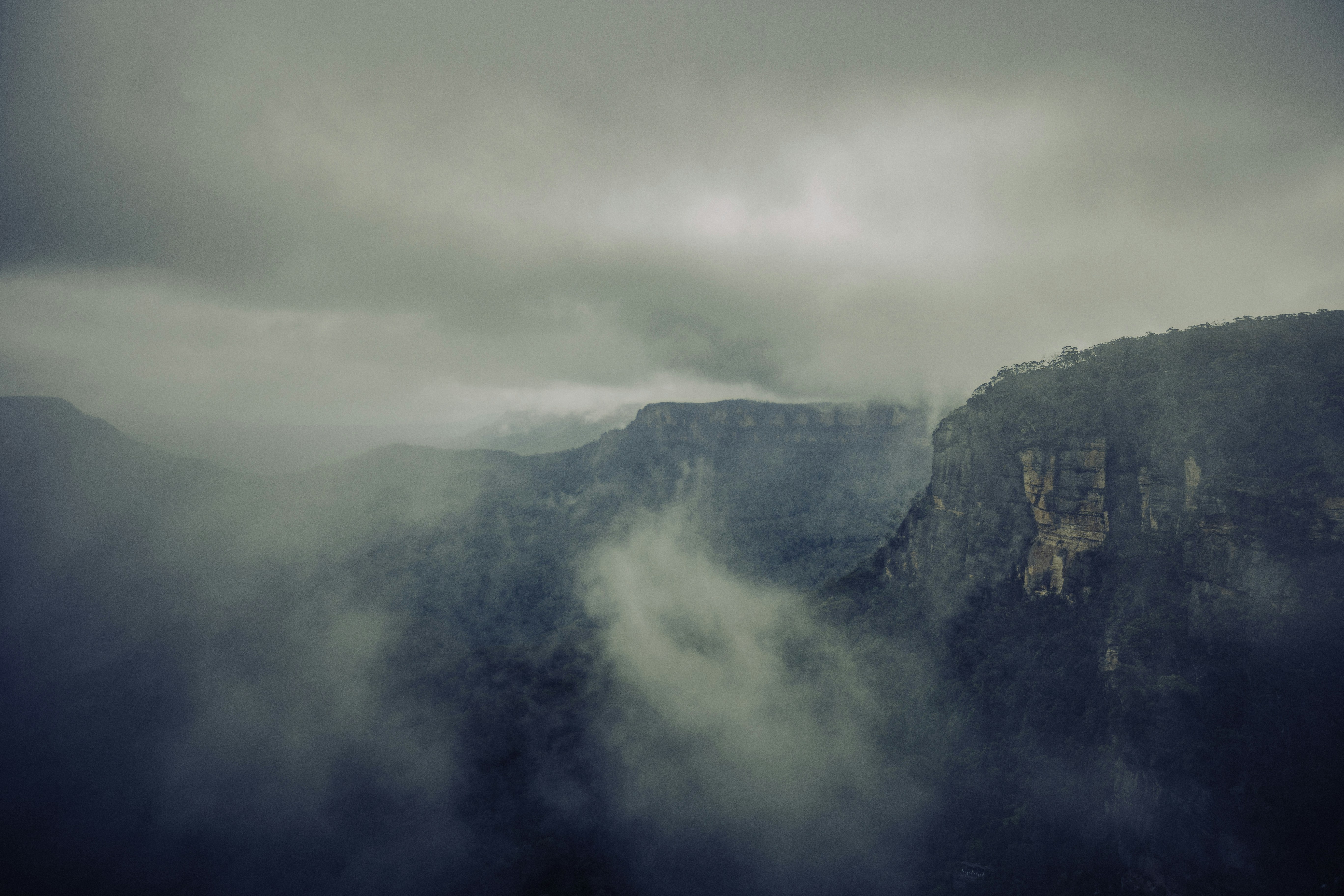 Photo by behindthetmuna