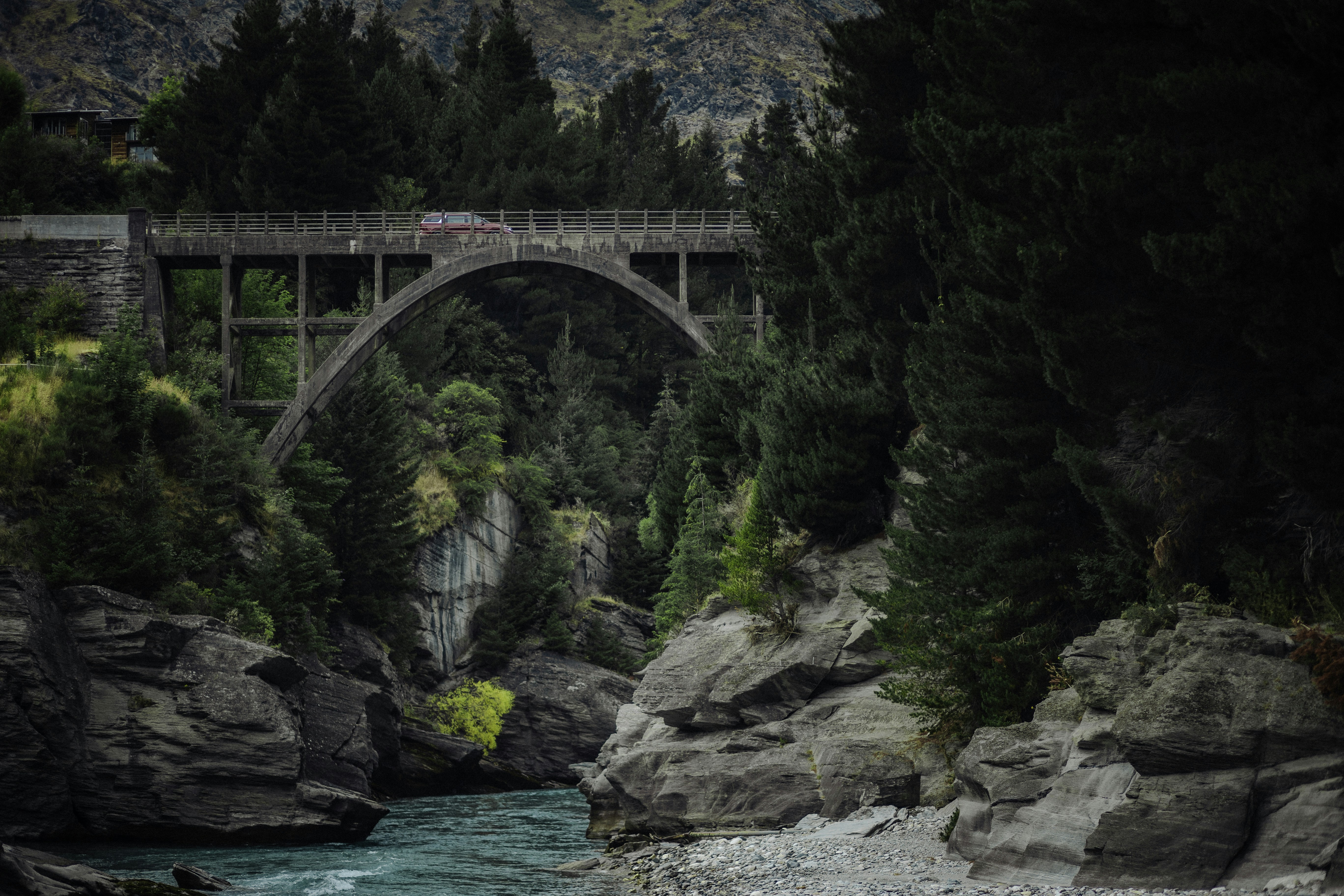 Photo by behindthetmuna