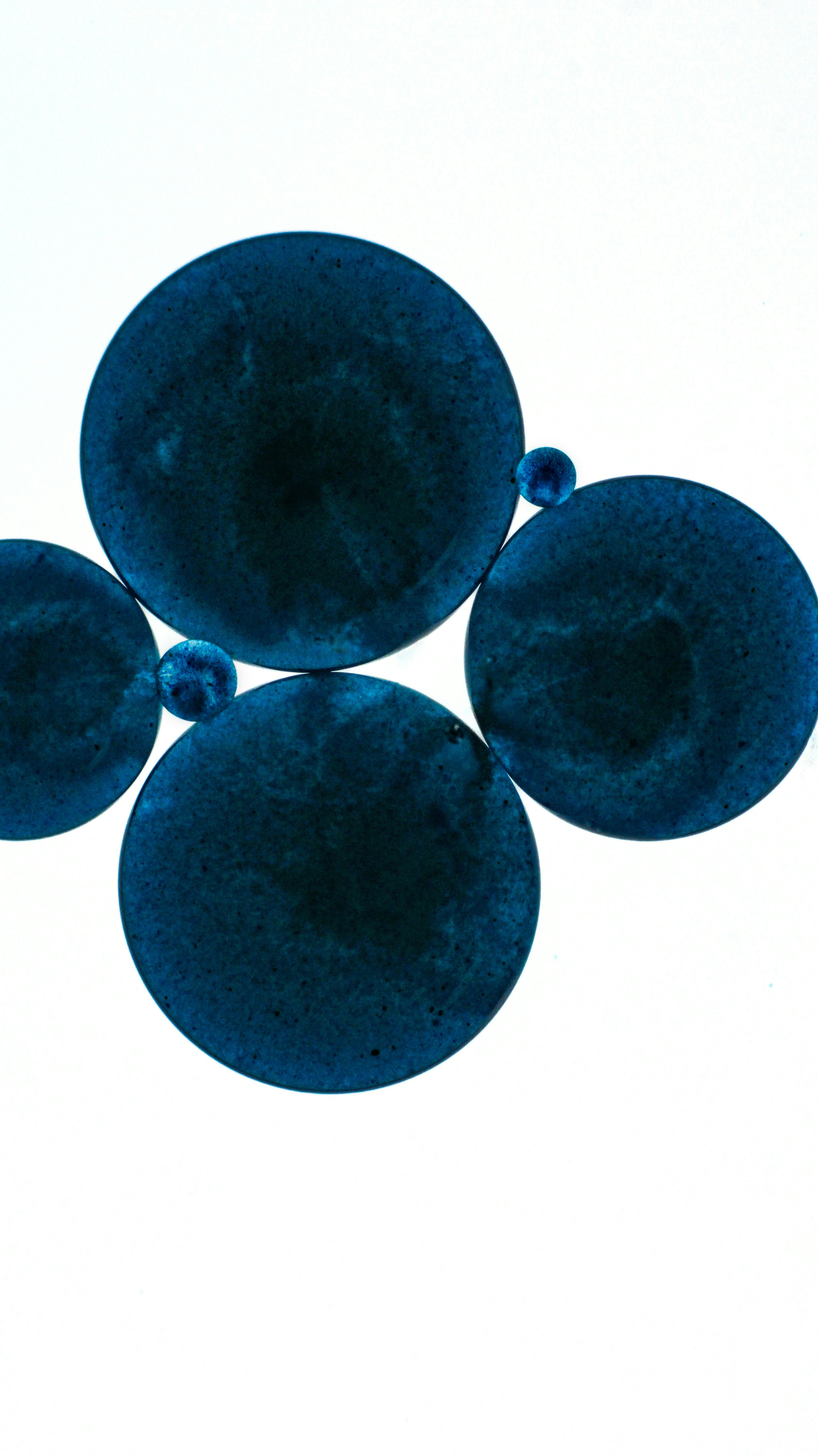 Photo by susan_wilkinson